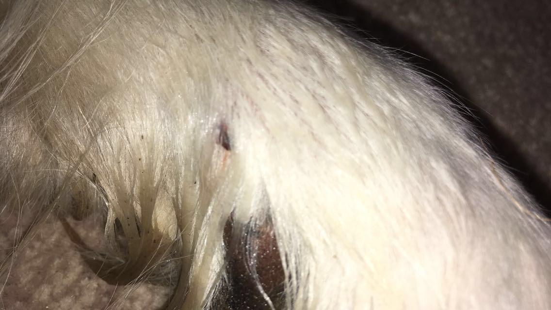 Question details sensitive content