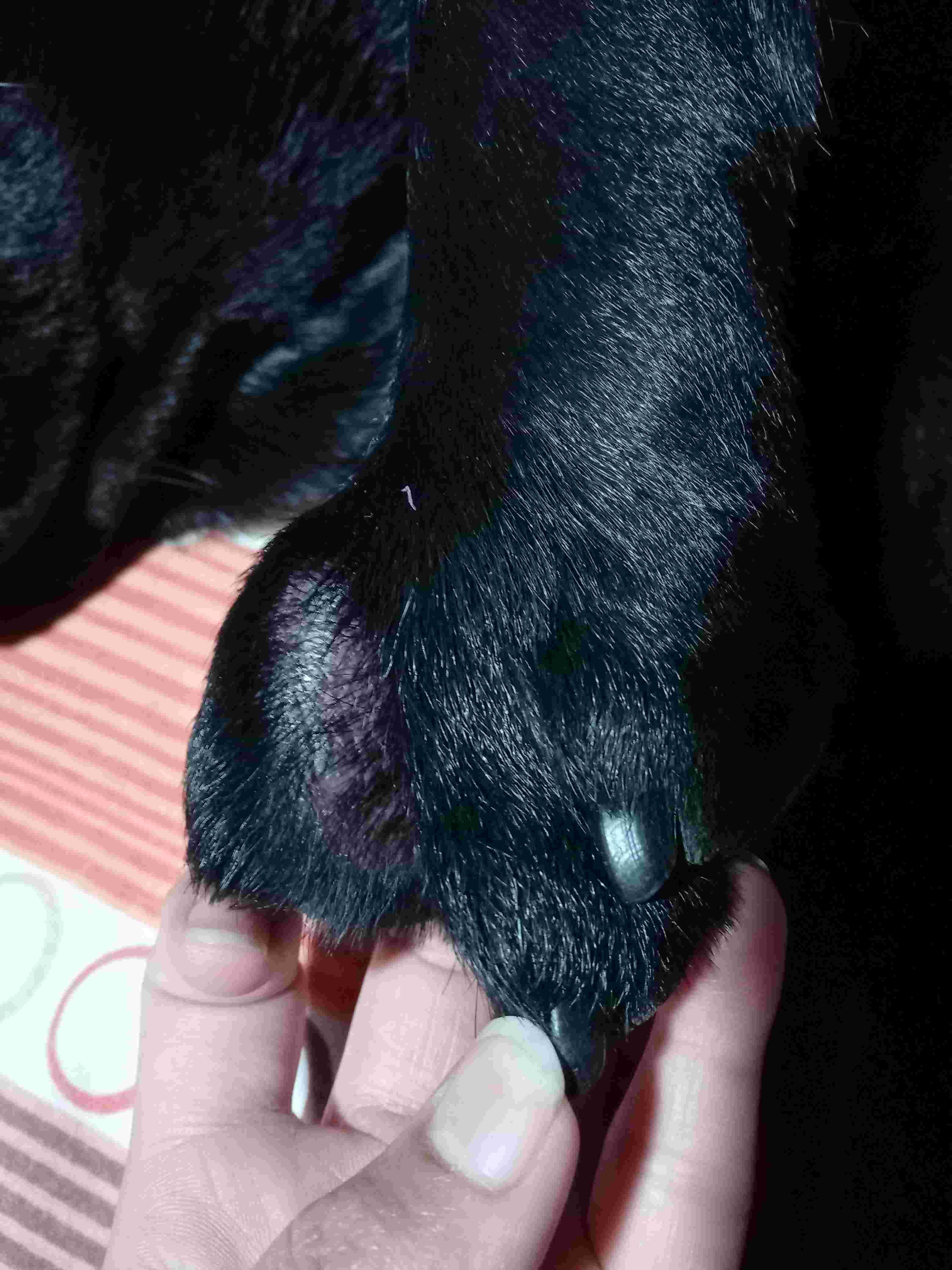 Question details sensitive content