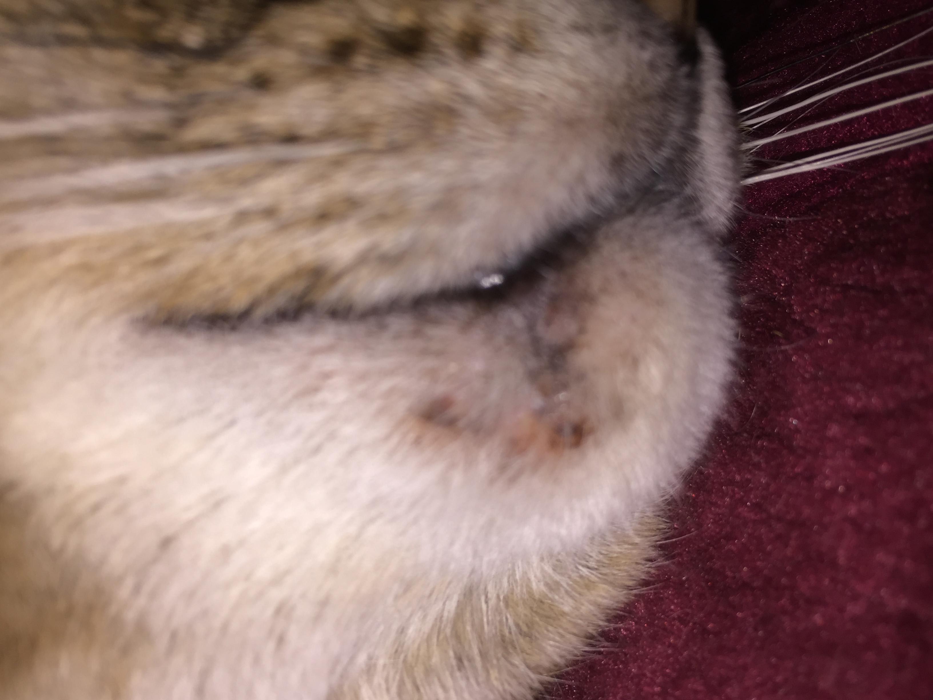 Question details sensitive content