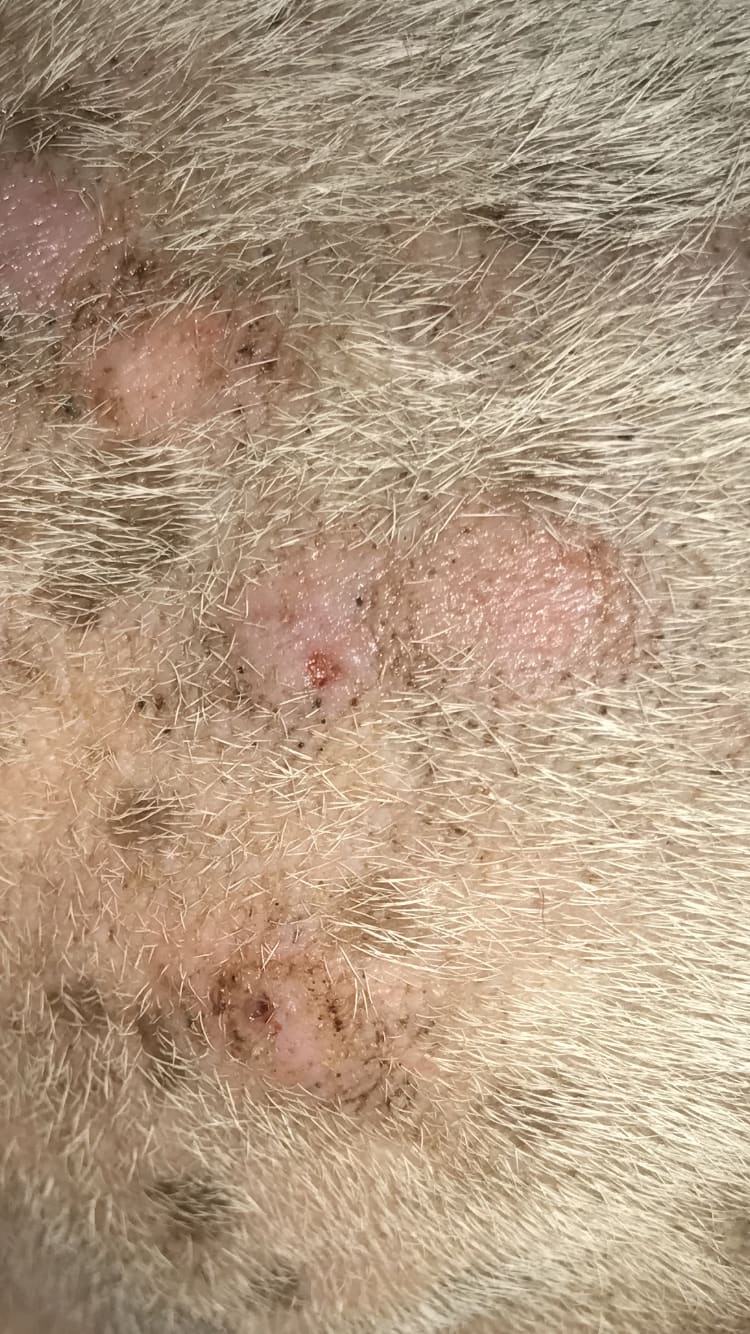 Question details sensitive content