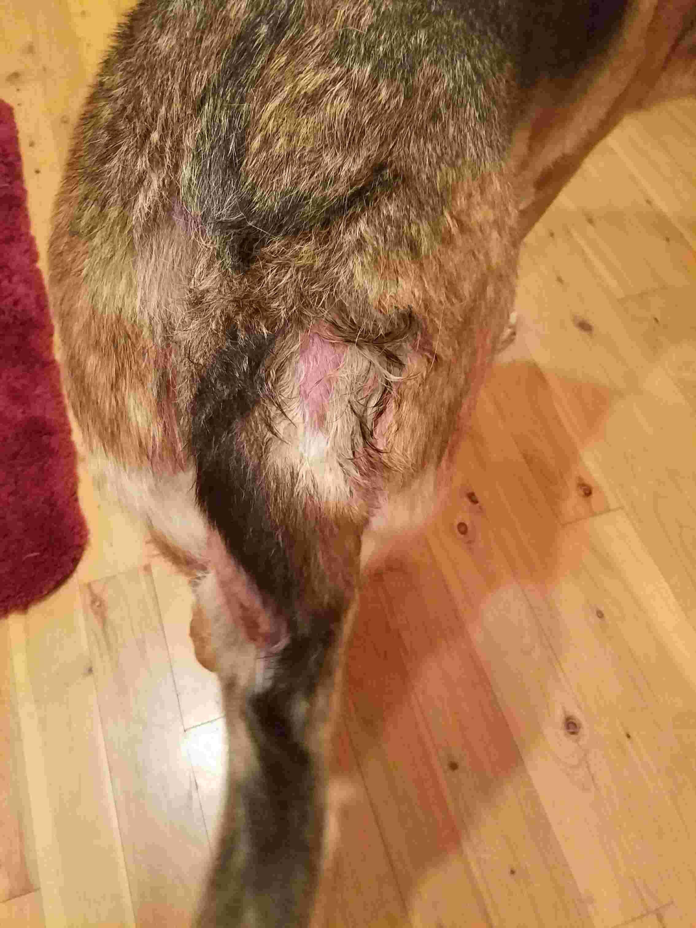 Question details sensitive content