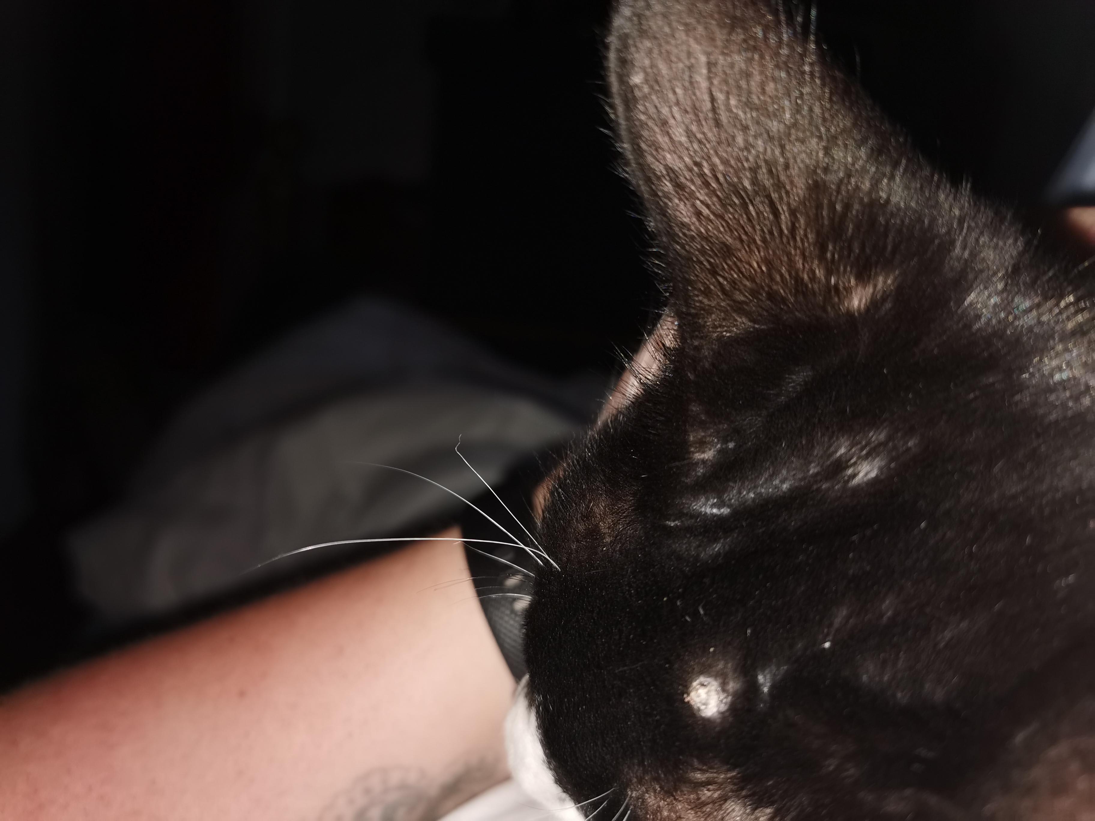 Question details sensitive content