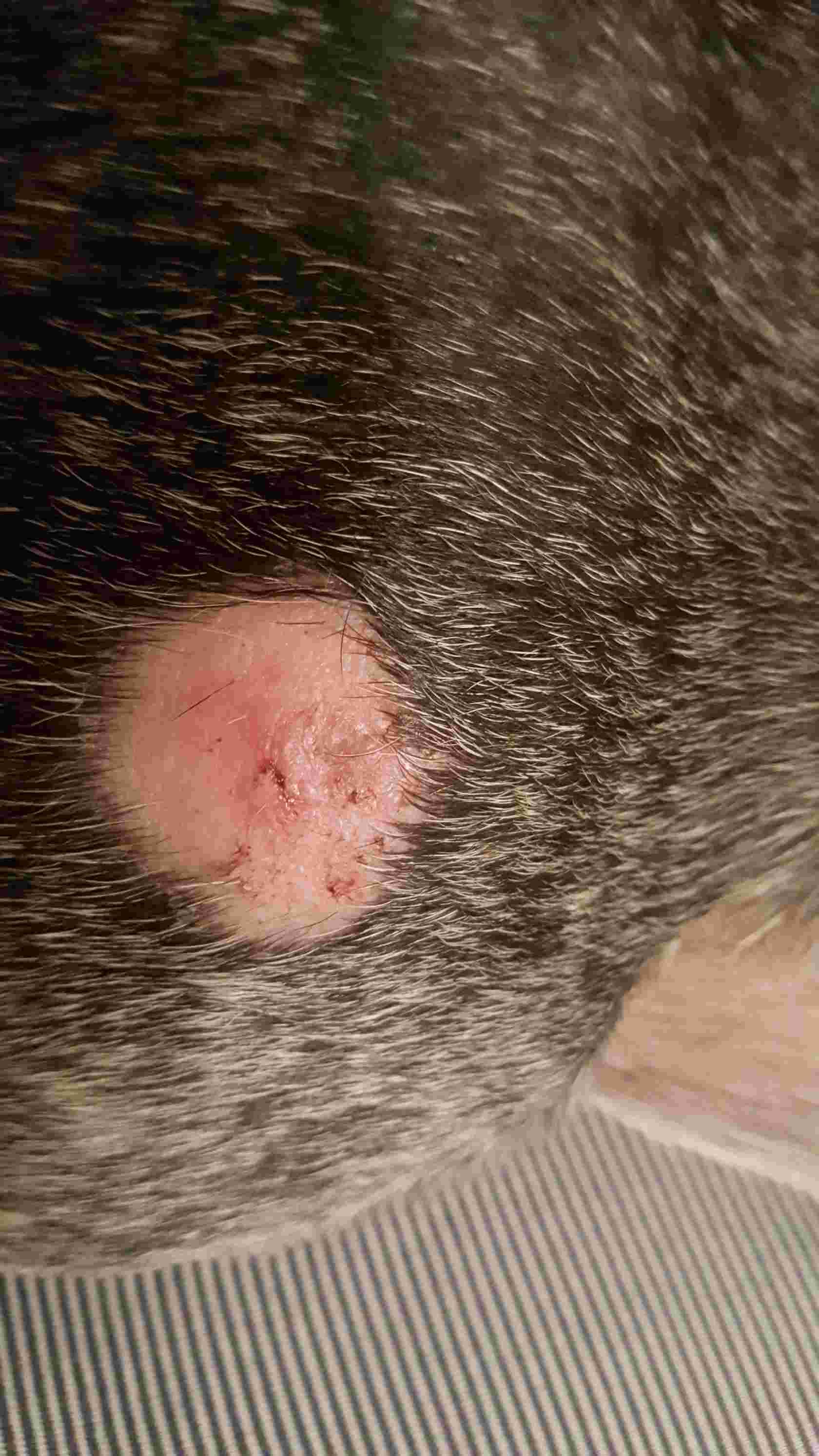 Question details sensitive content