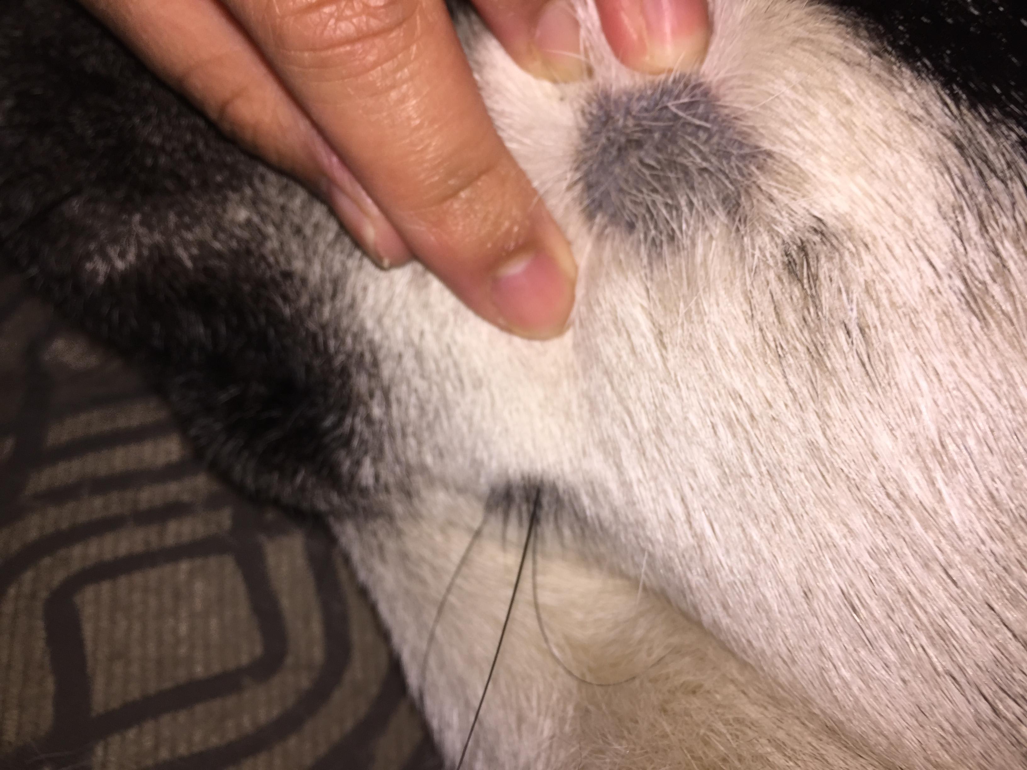 Question details sensitive content