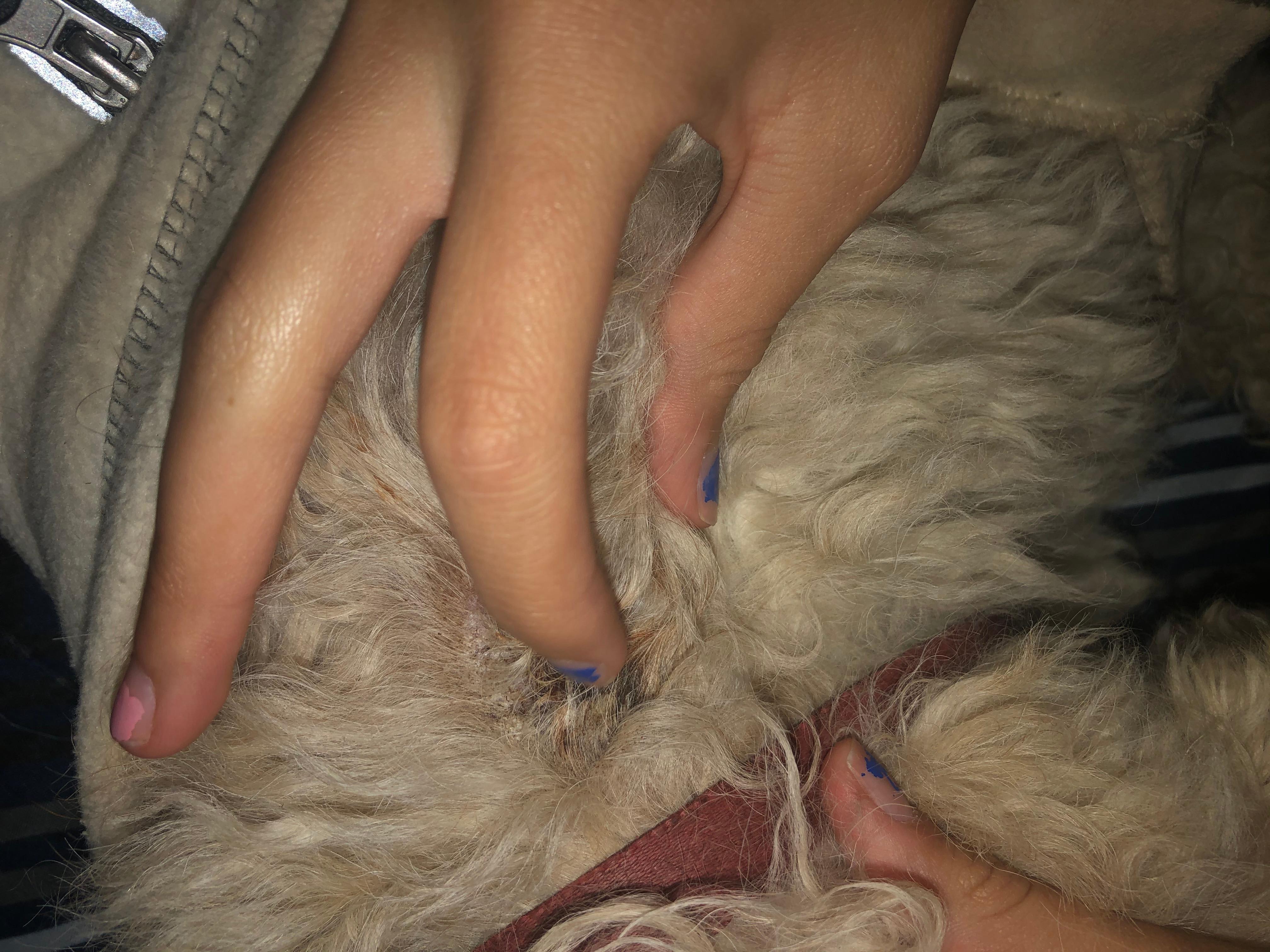 Question details sensitive content