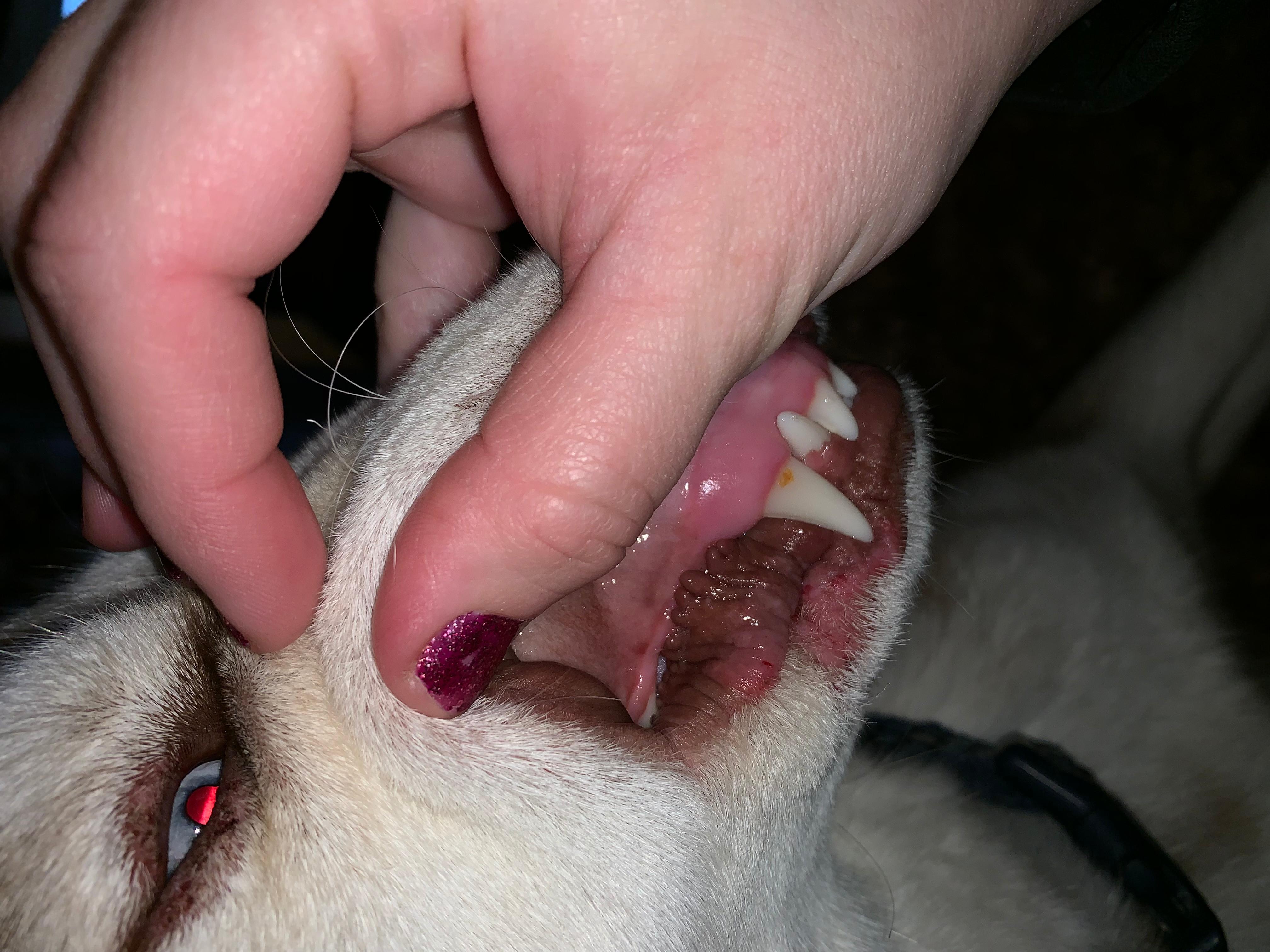 Question details sensitive content