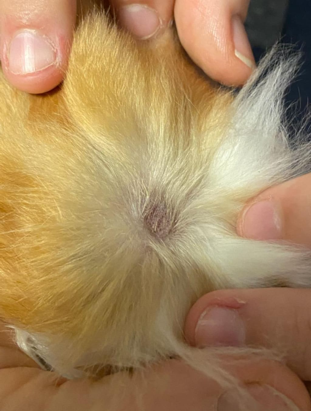 Question details sensitive content