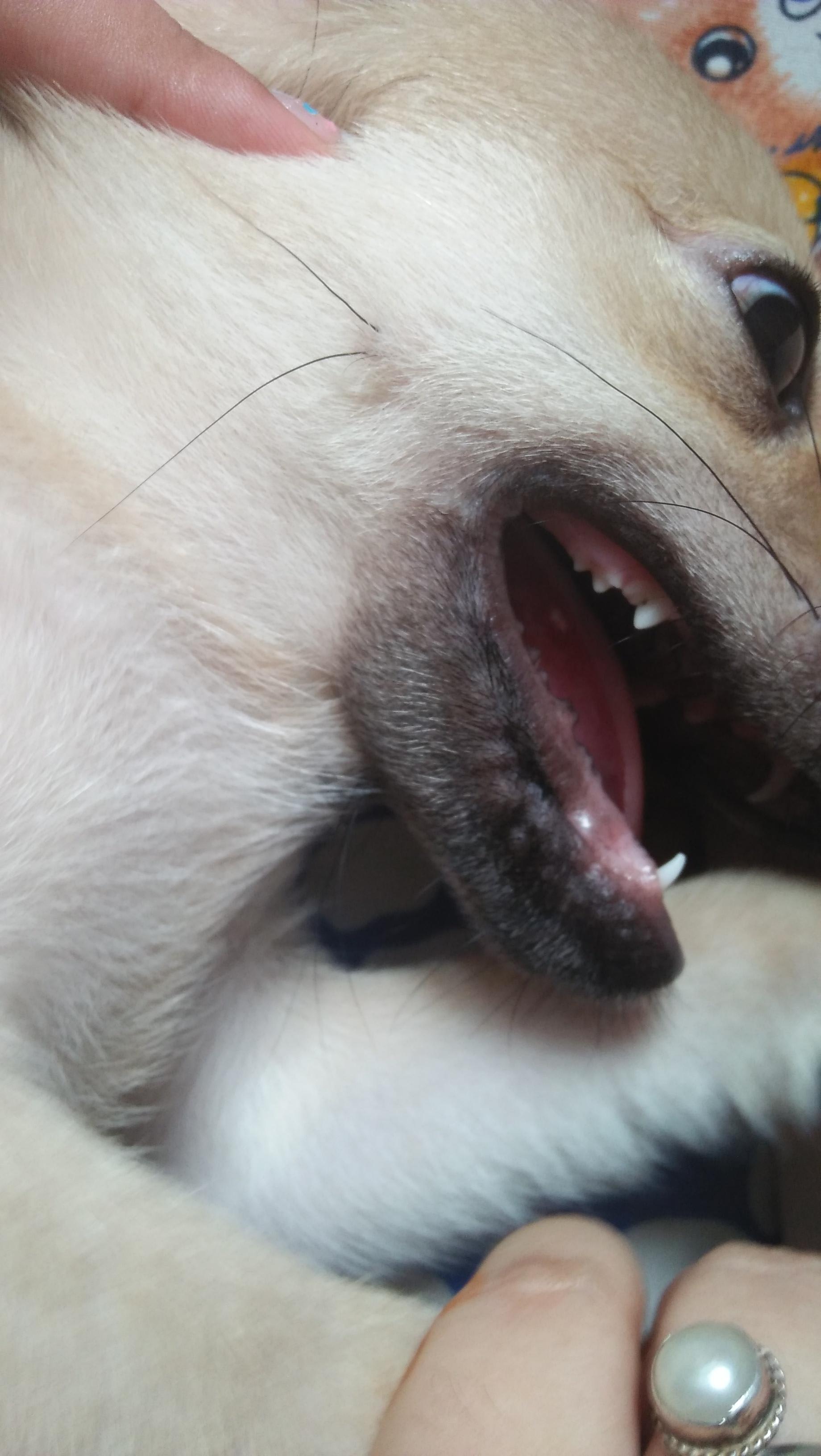 Question details sensitive content