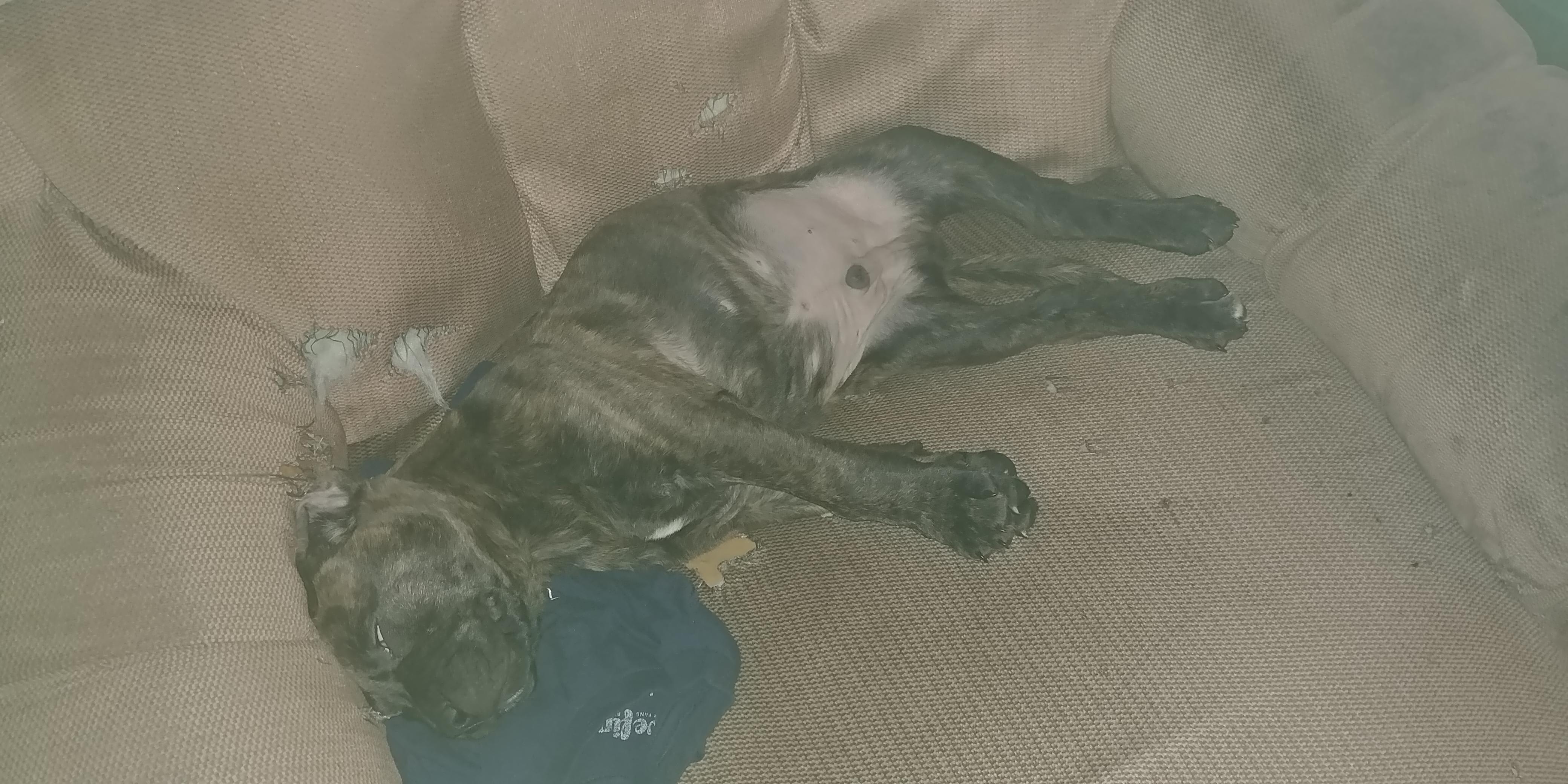 Question details sensitive content