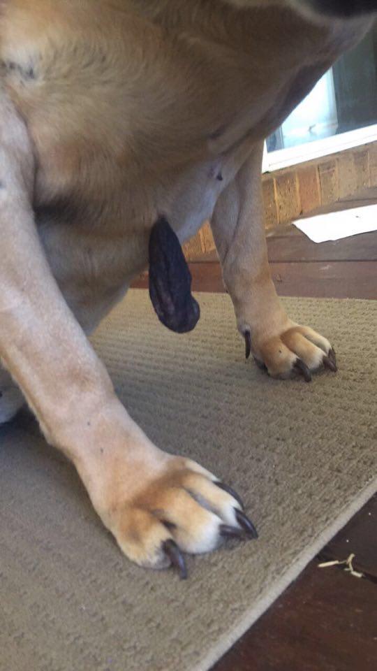 Question details sensitive content