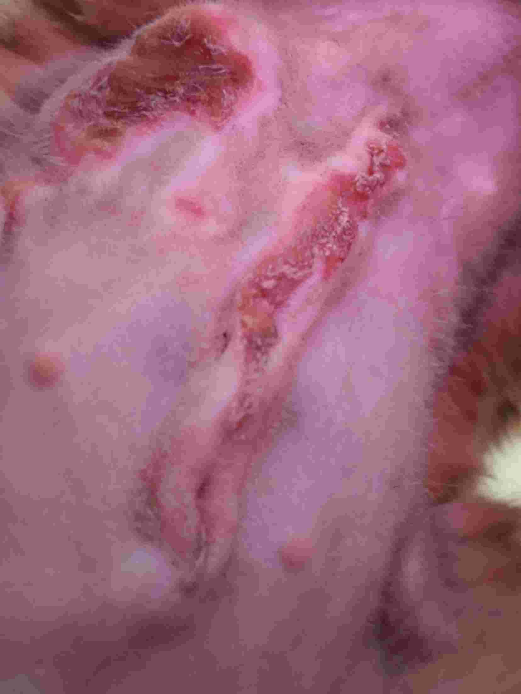 Question details sensitive content