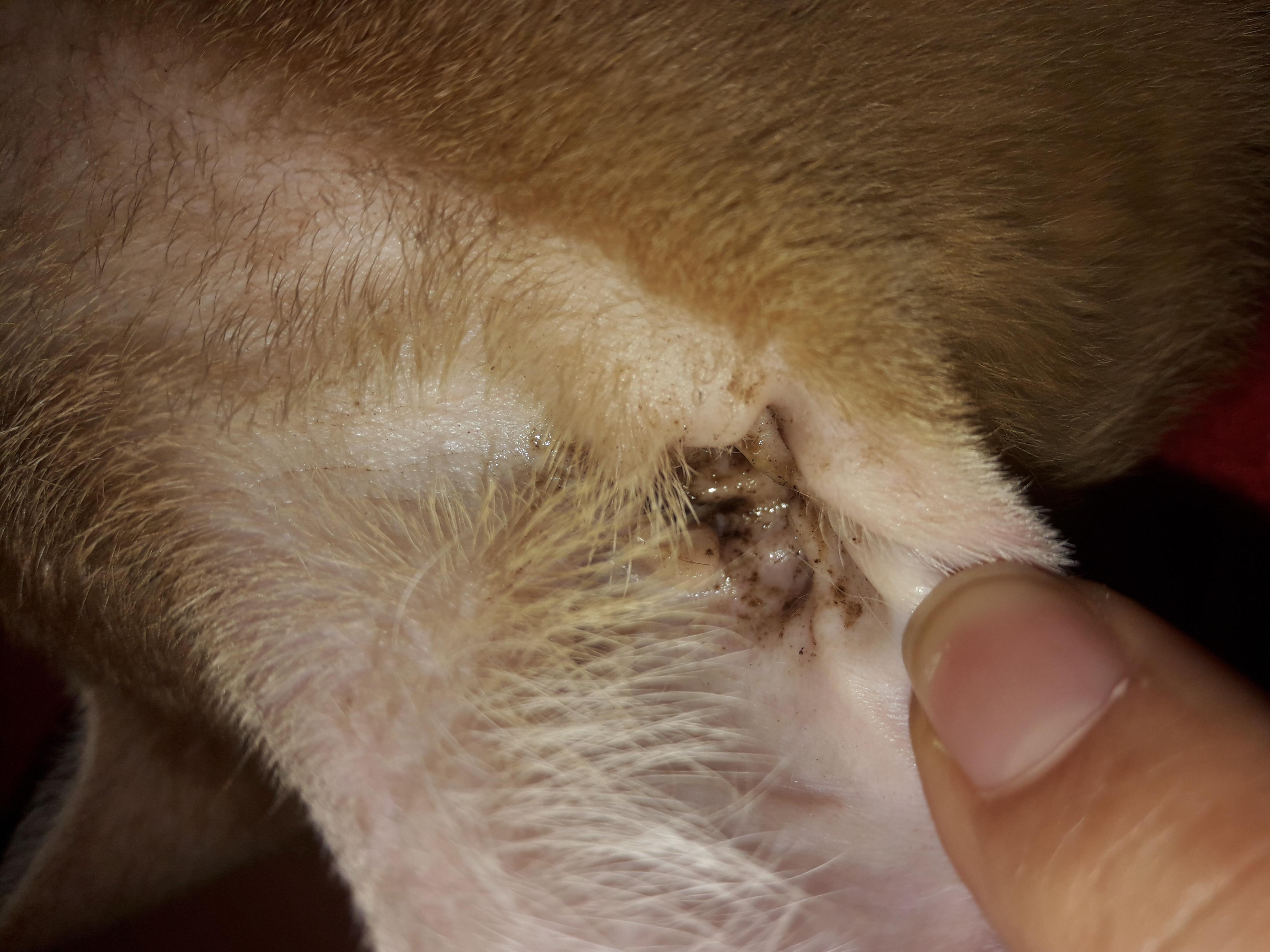 Question details sensitive content