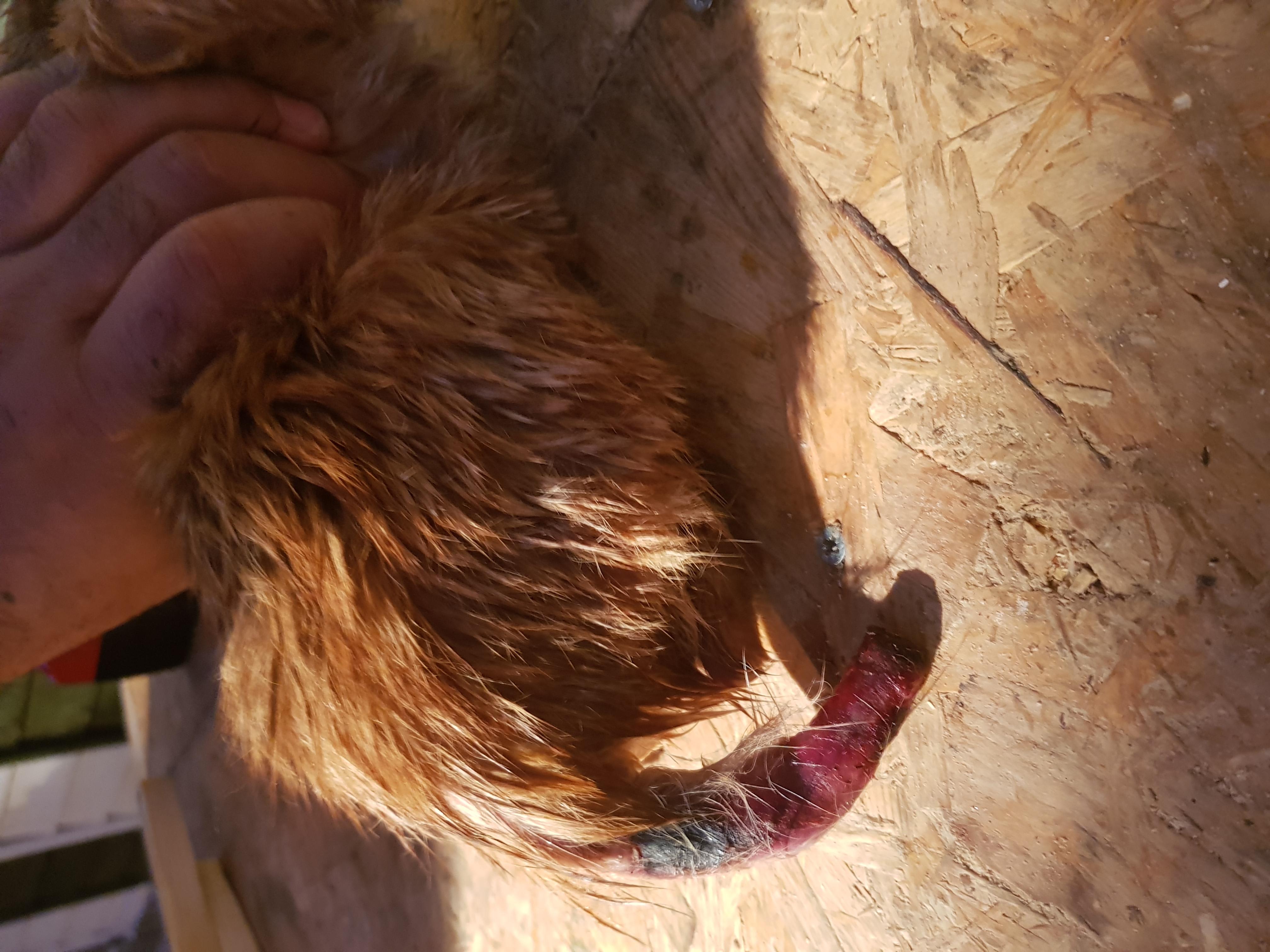 Question details sensitive content