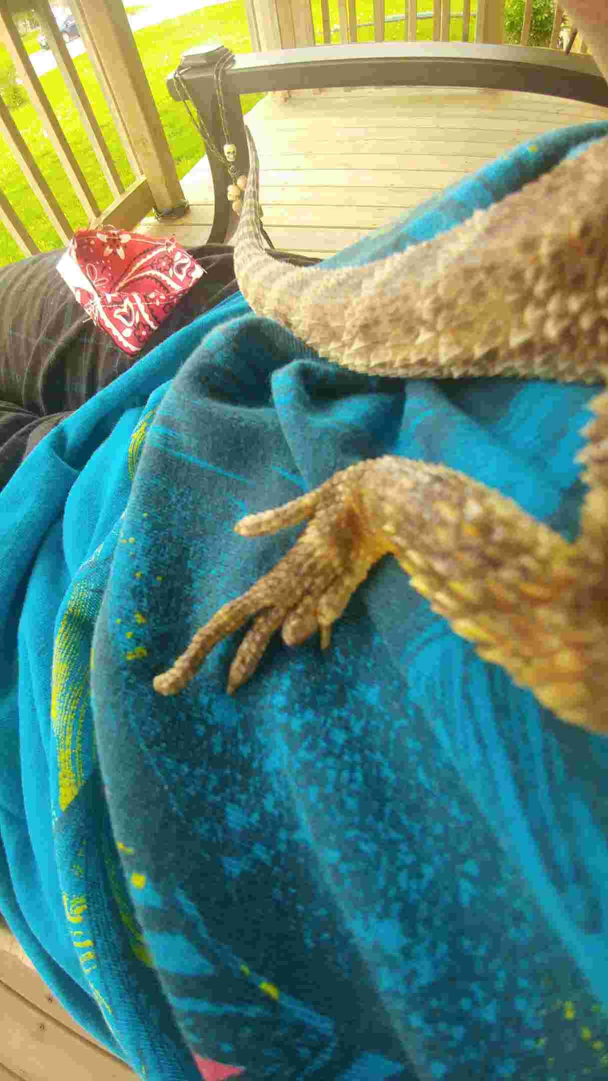 Question details sensitive content