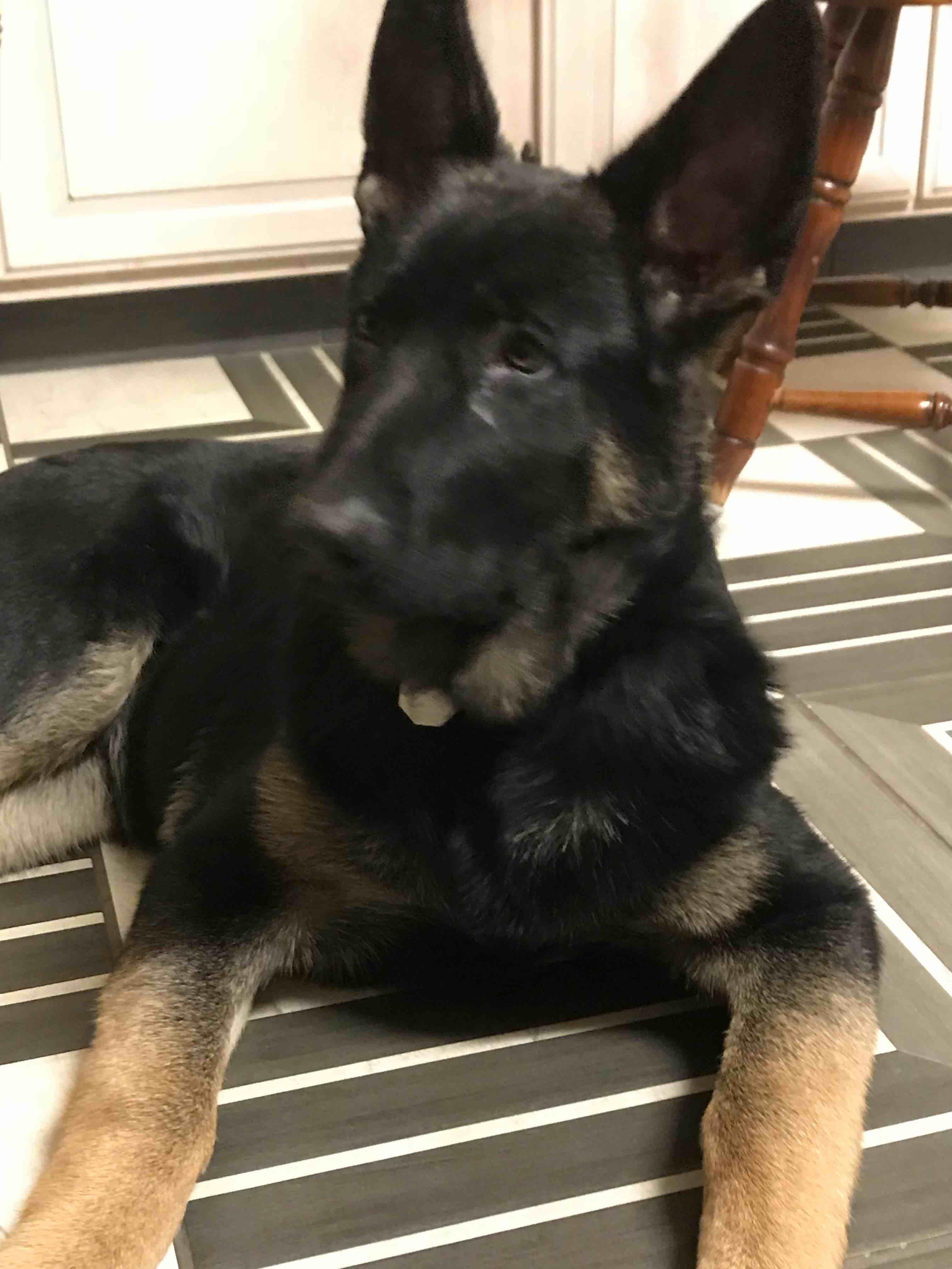 Question details sensitive content