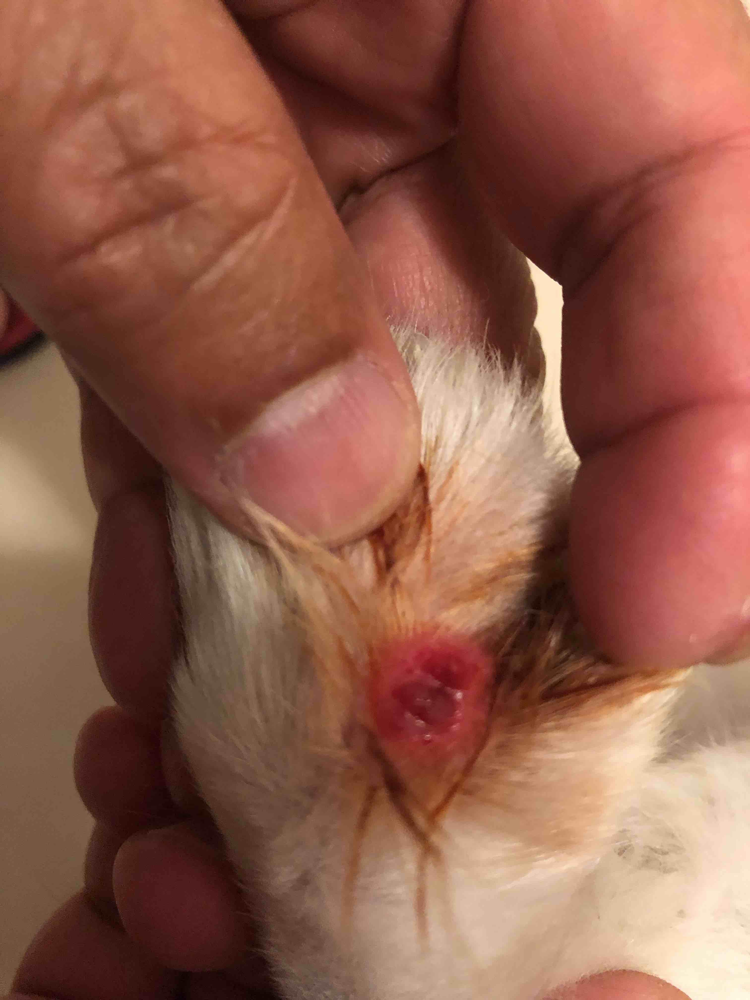 Question details sensitive content