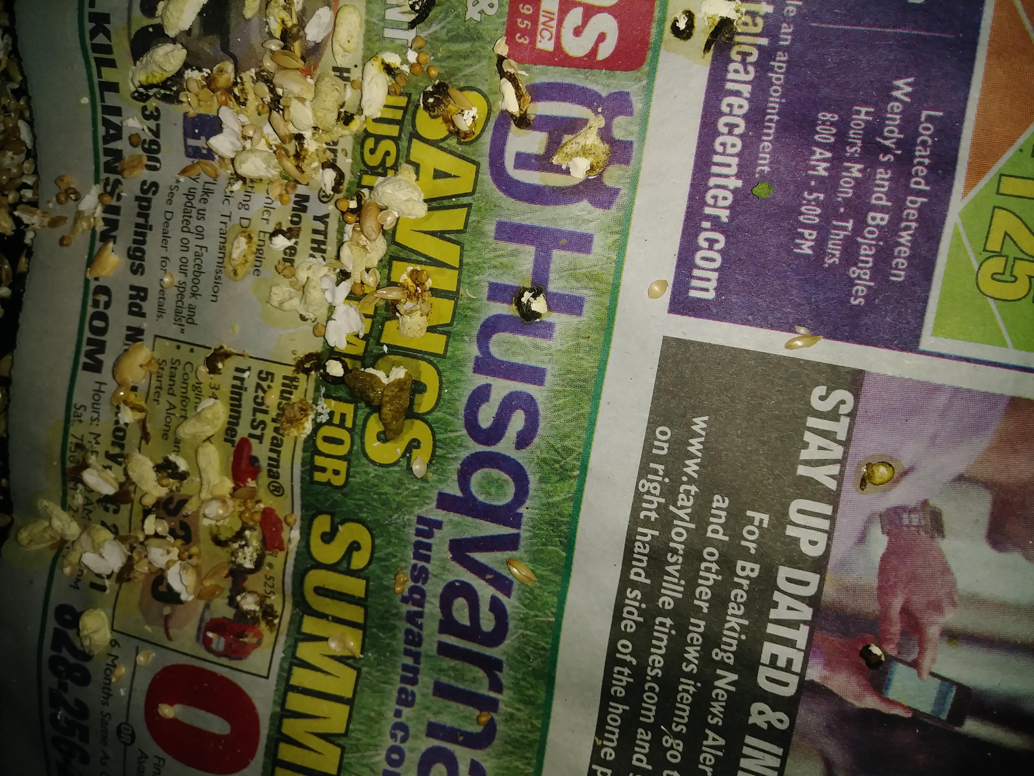 Question details sensitive content