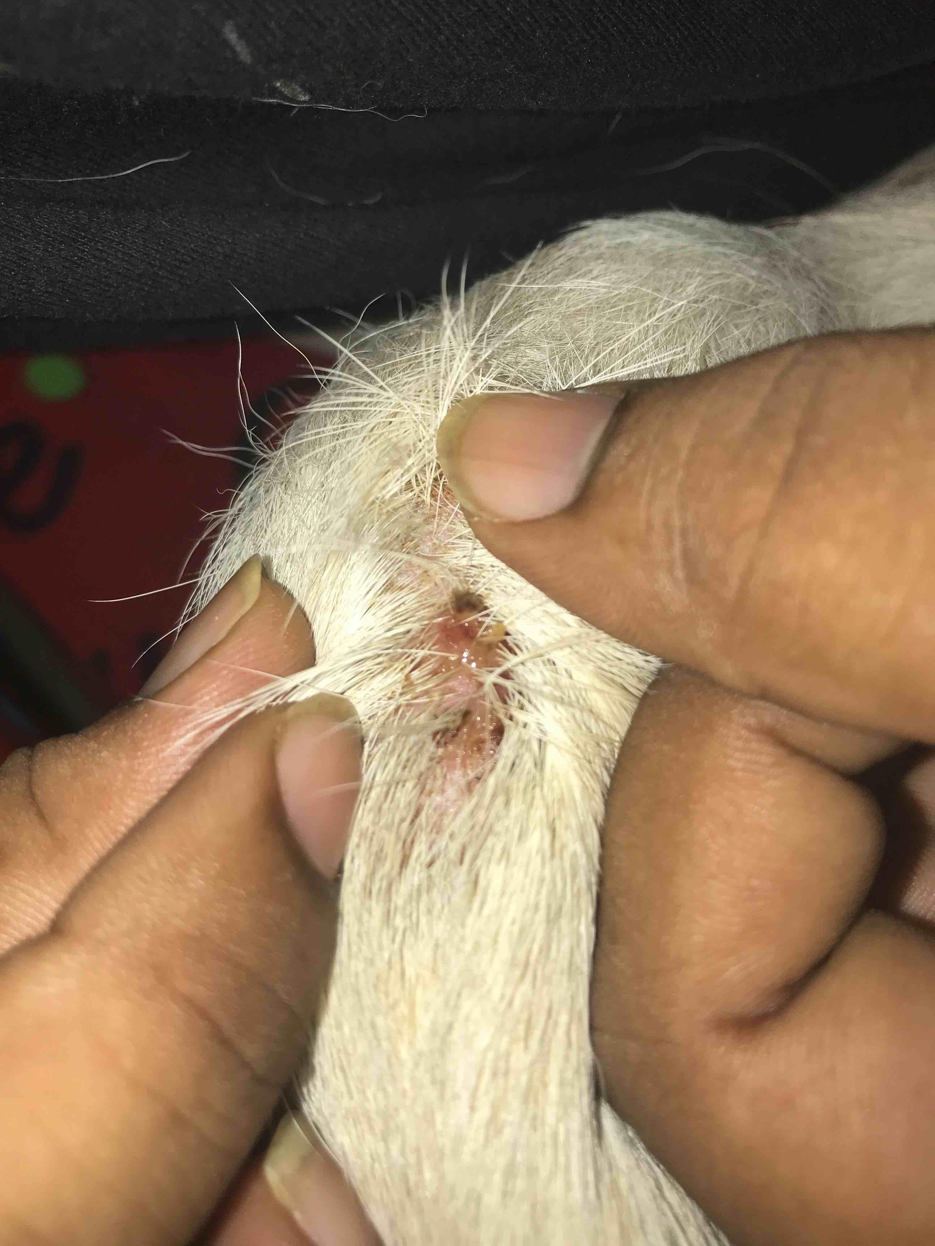 Question details sensitive content