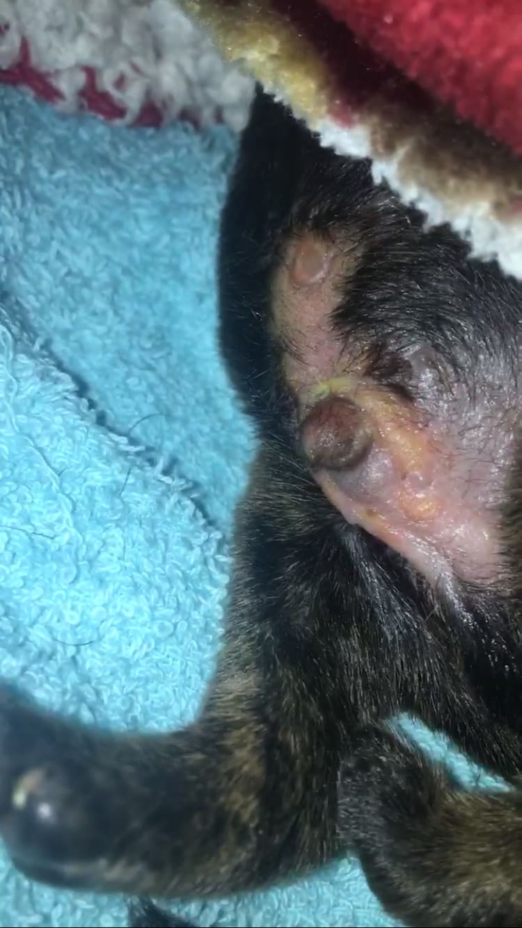 Question details sensitive content