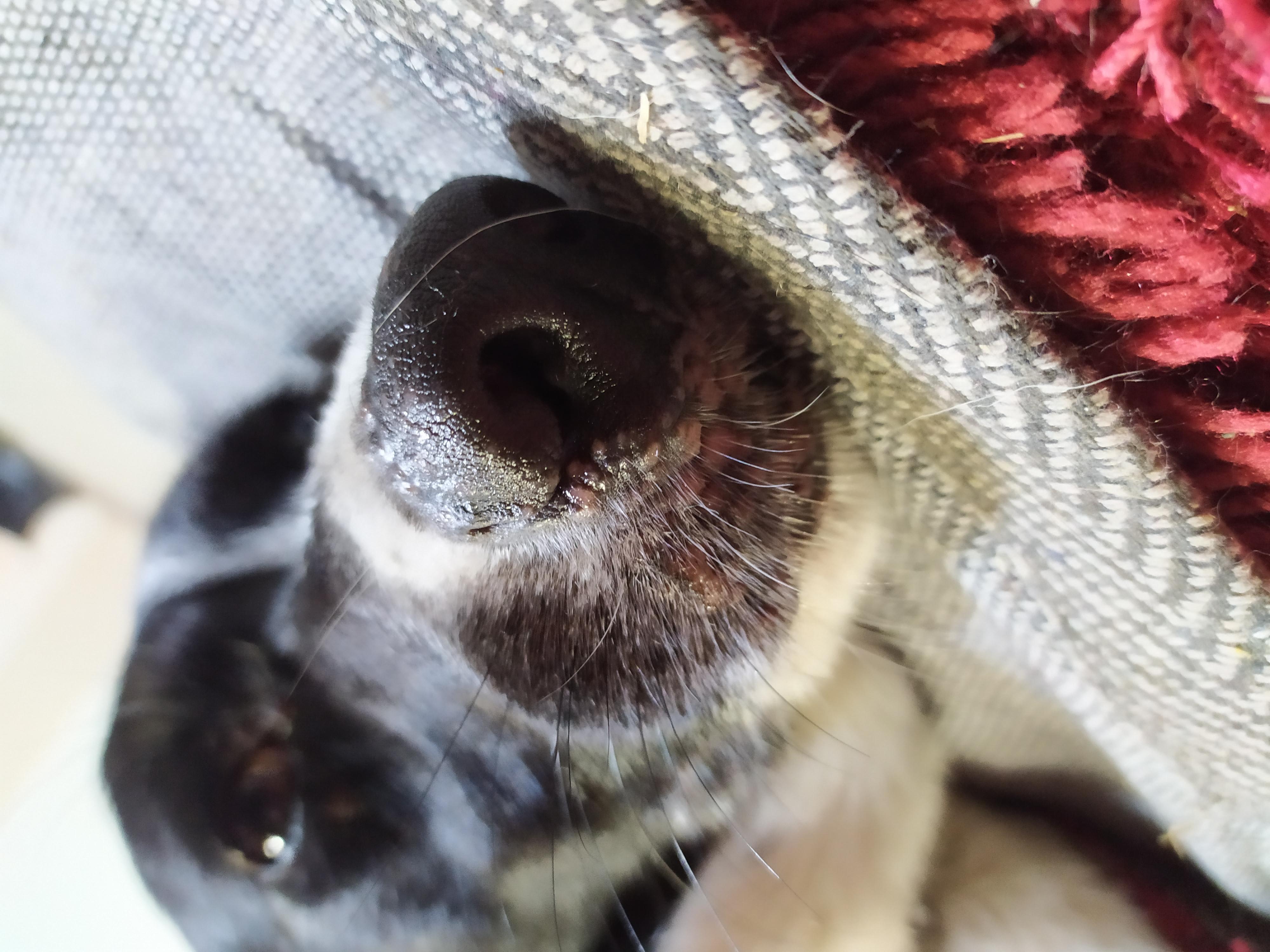 Question details sensitive content