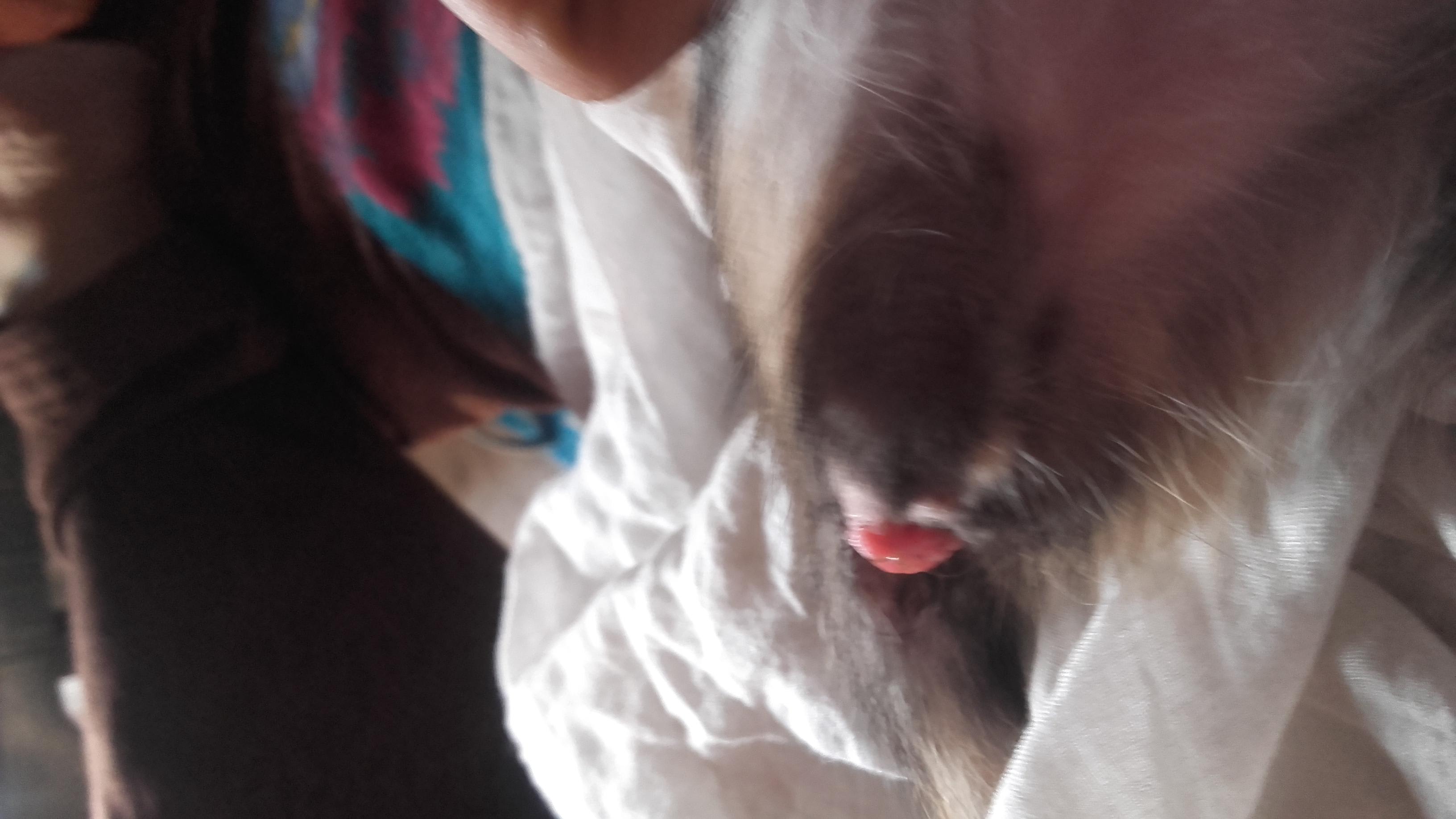 Question details sensitive content