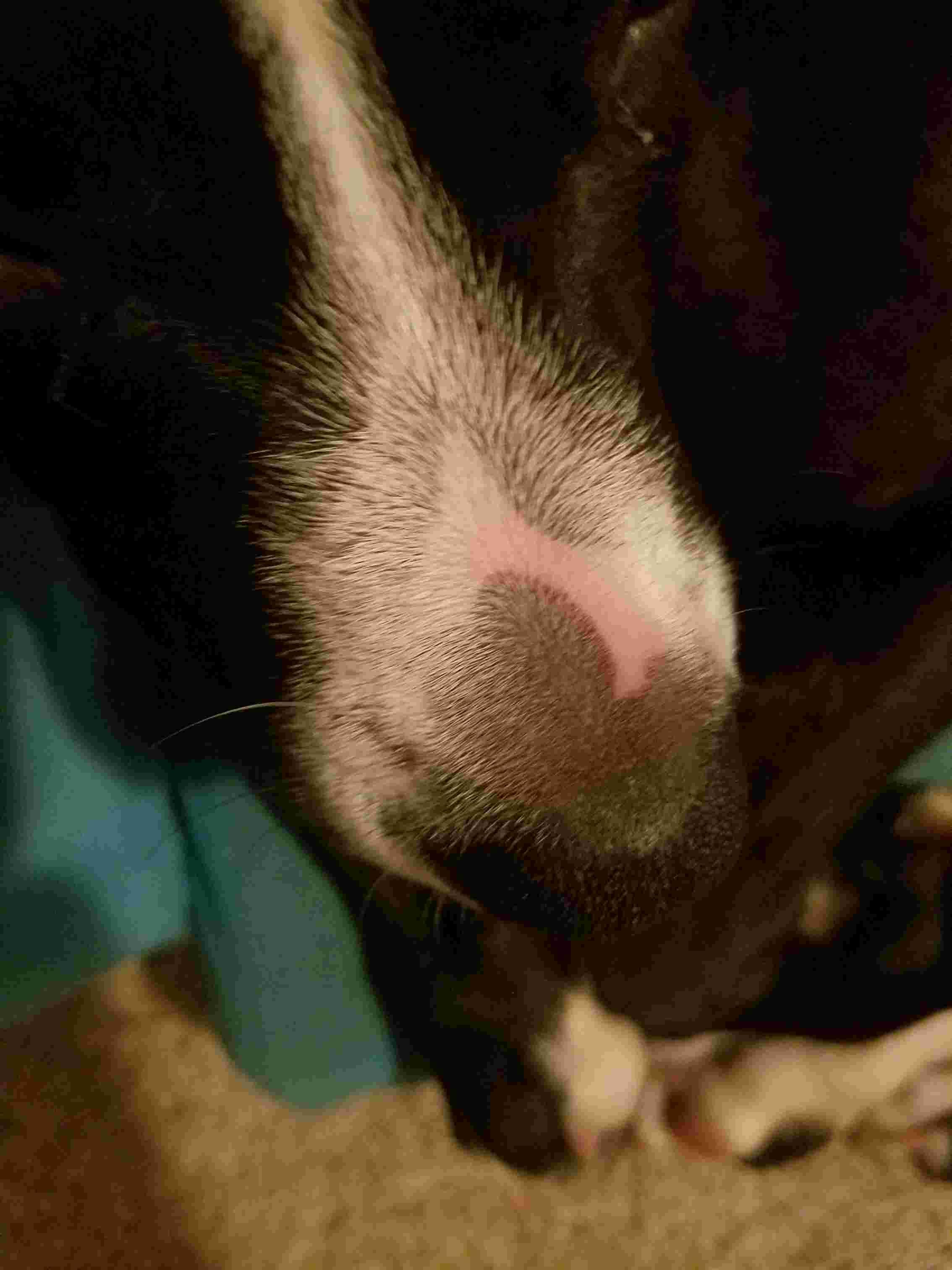 Question details sensitive content