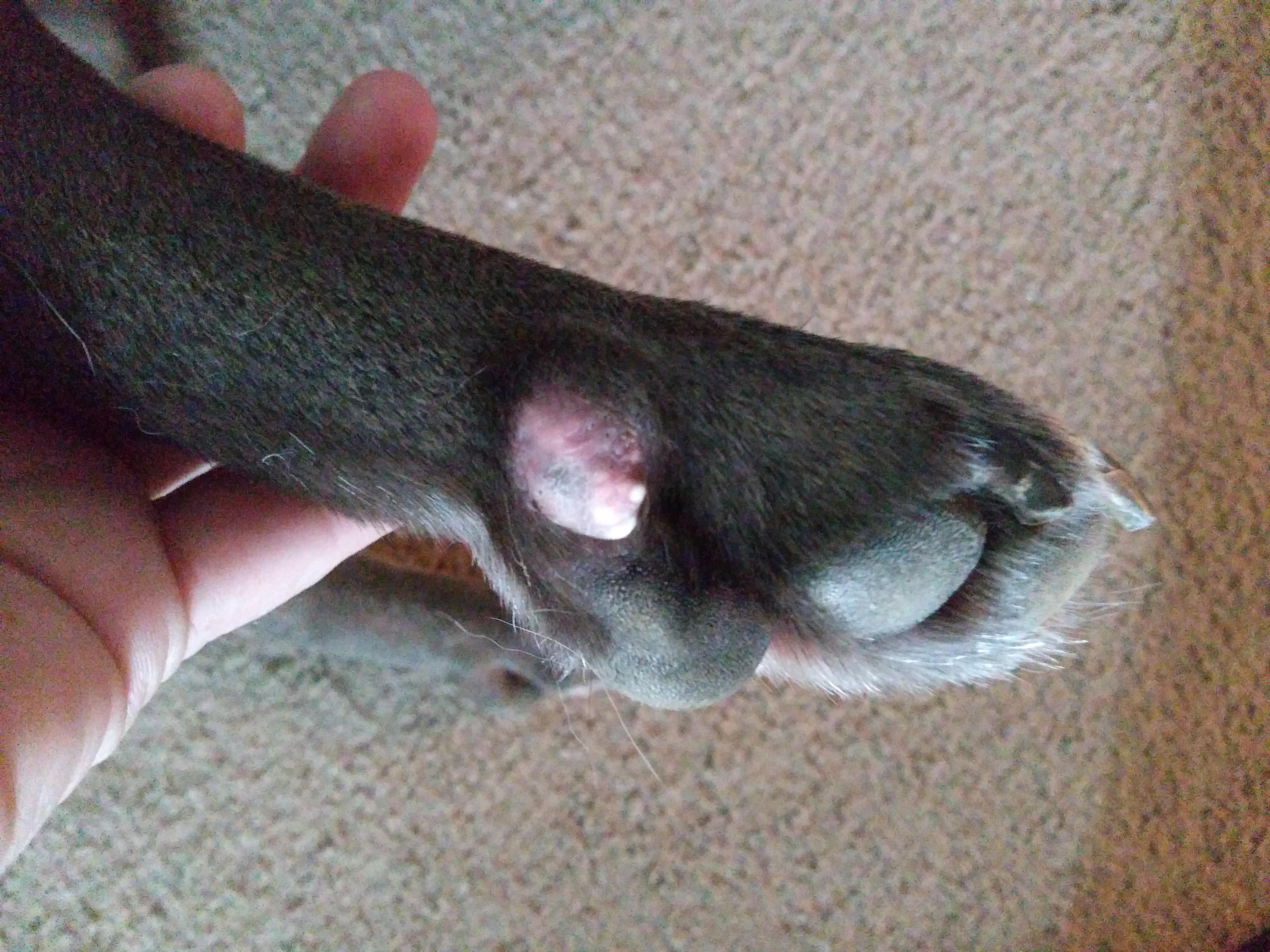 Question details sensitive content