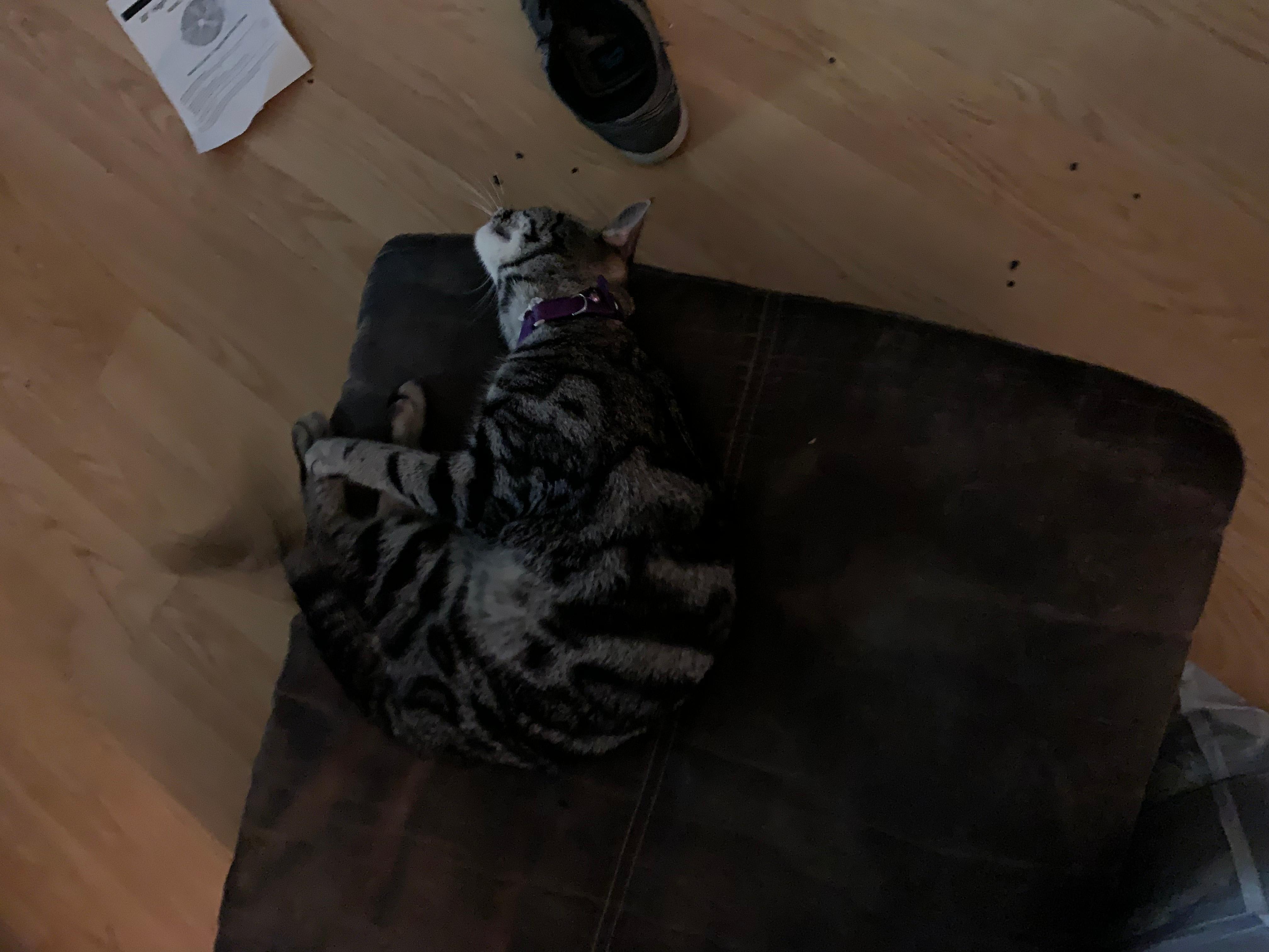 Question details sensitive content