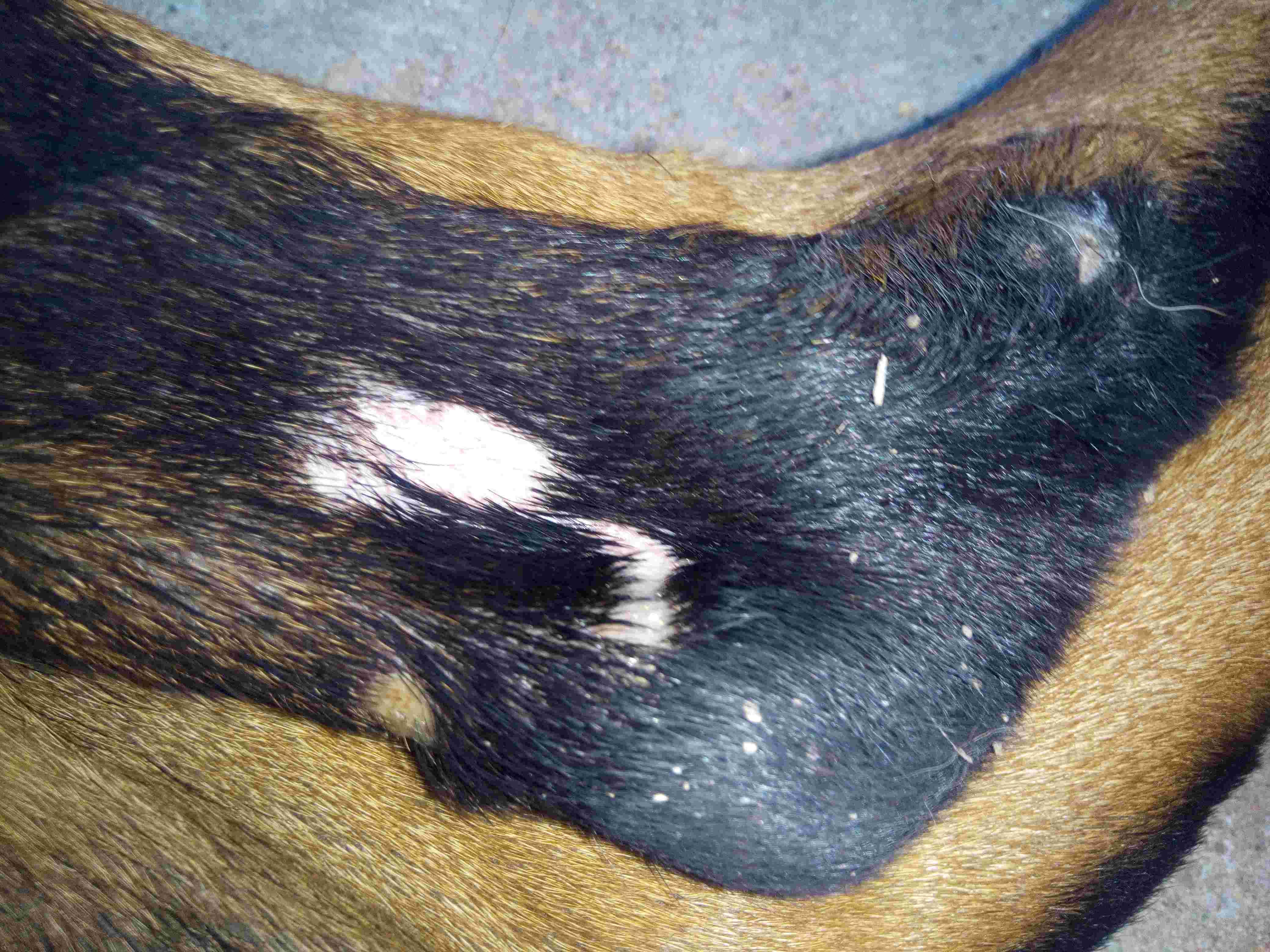 Question details sensitive content