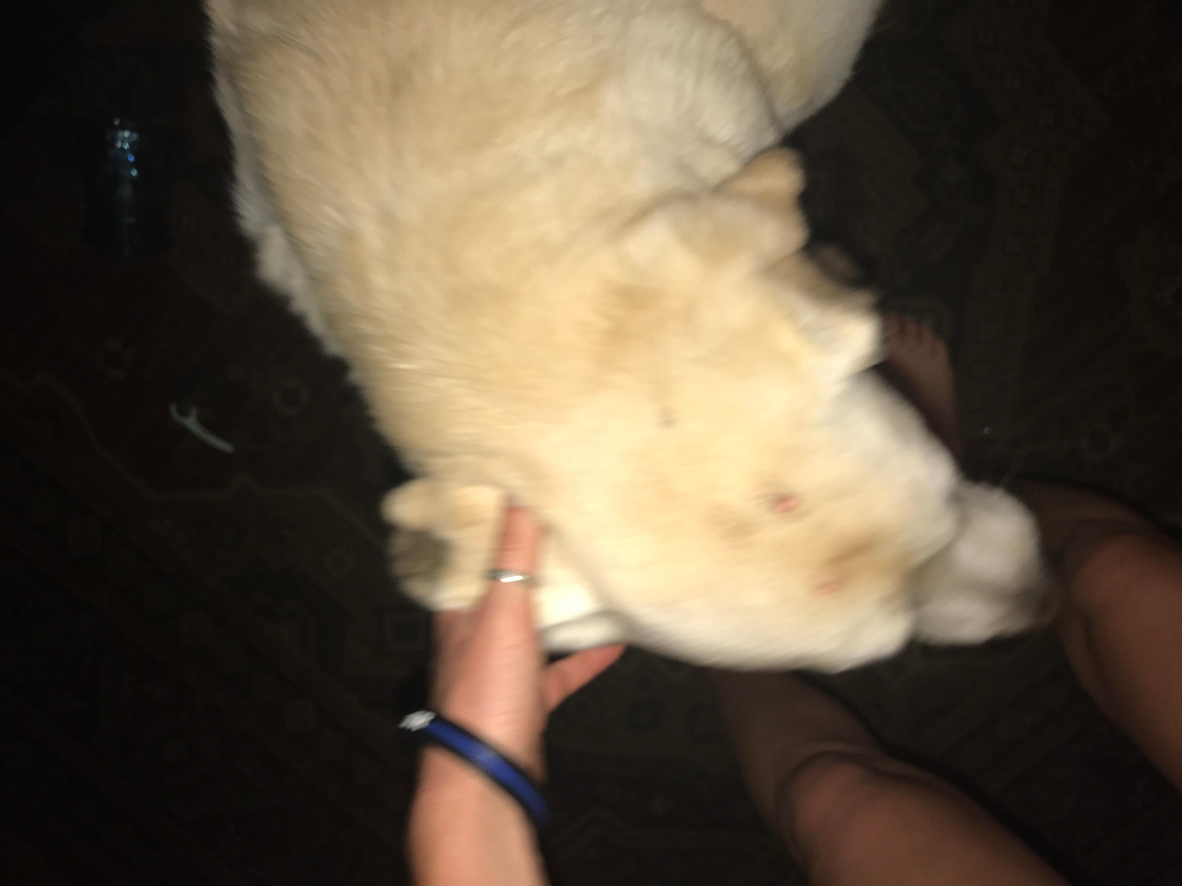 Question details sensitive content