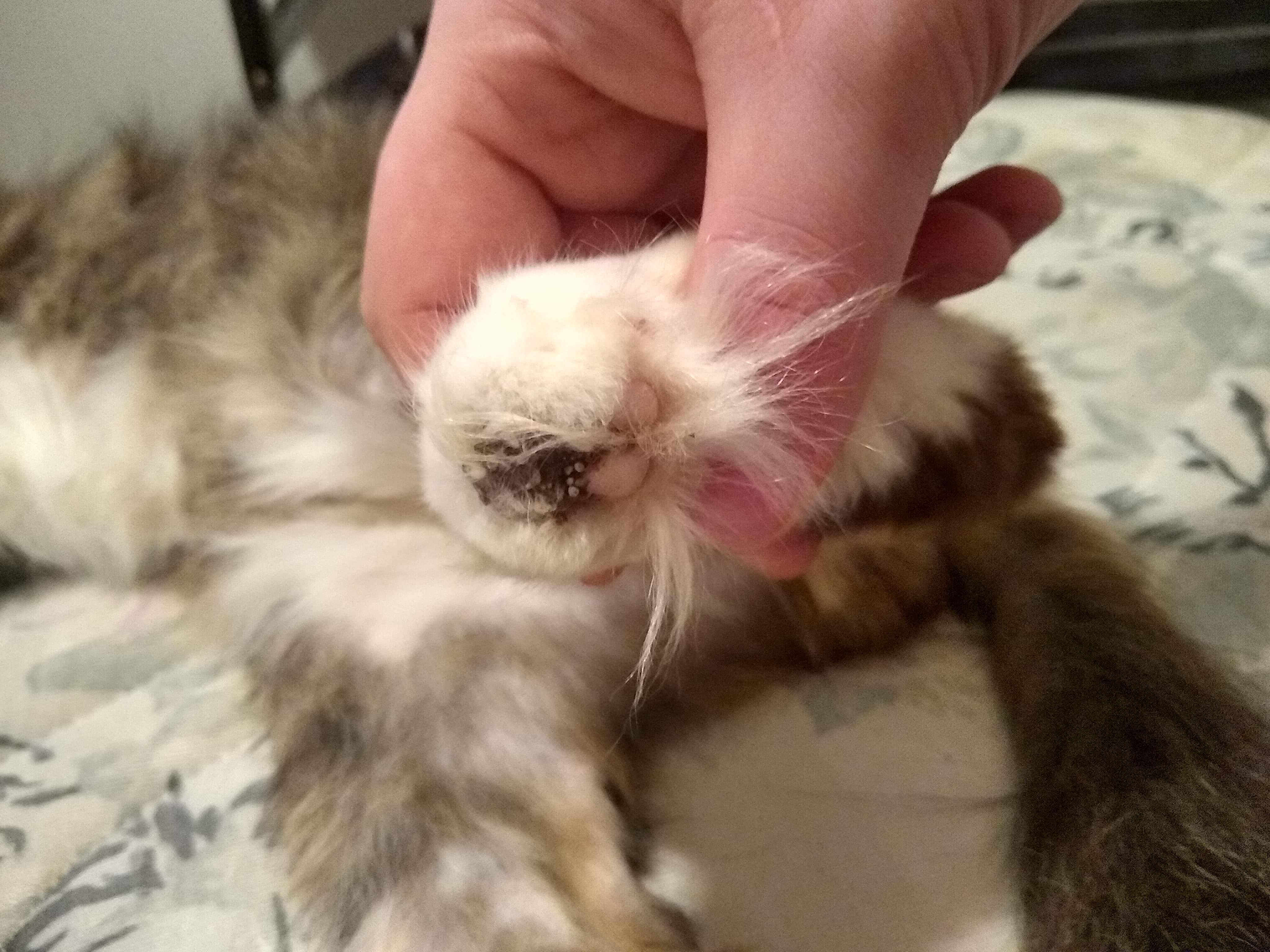 Question details sensitive content