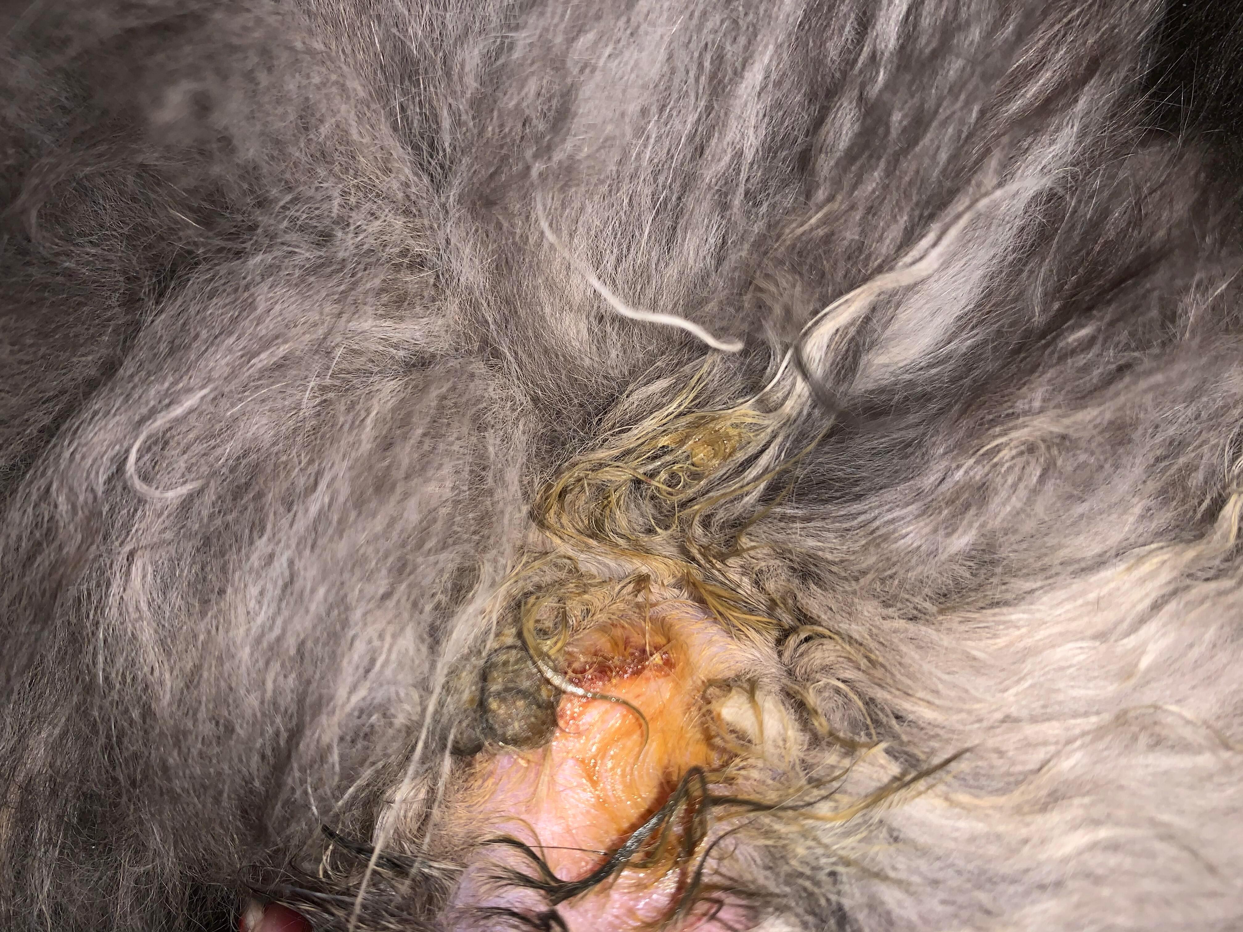 Question details sensitive content