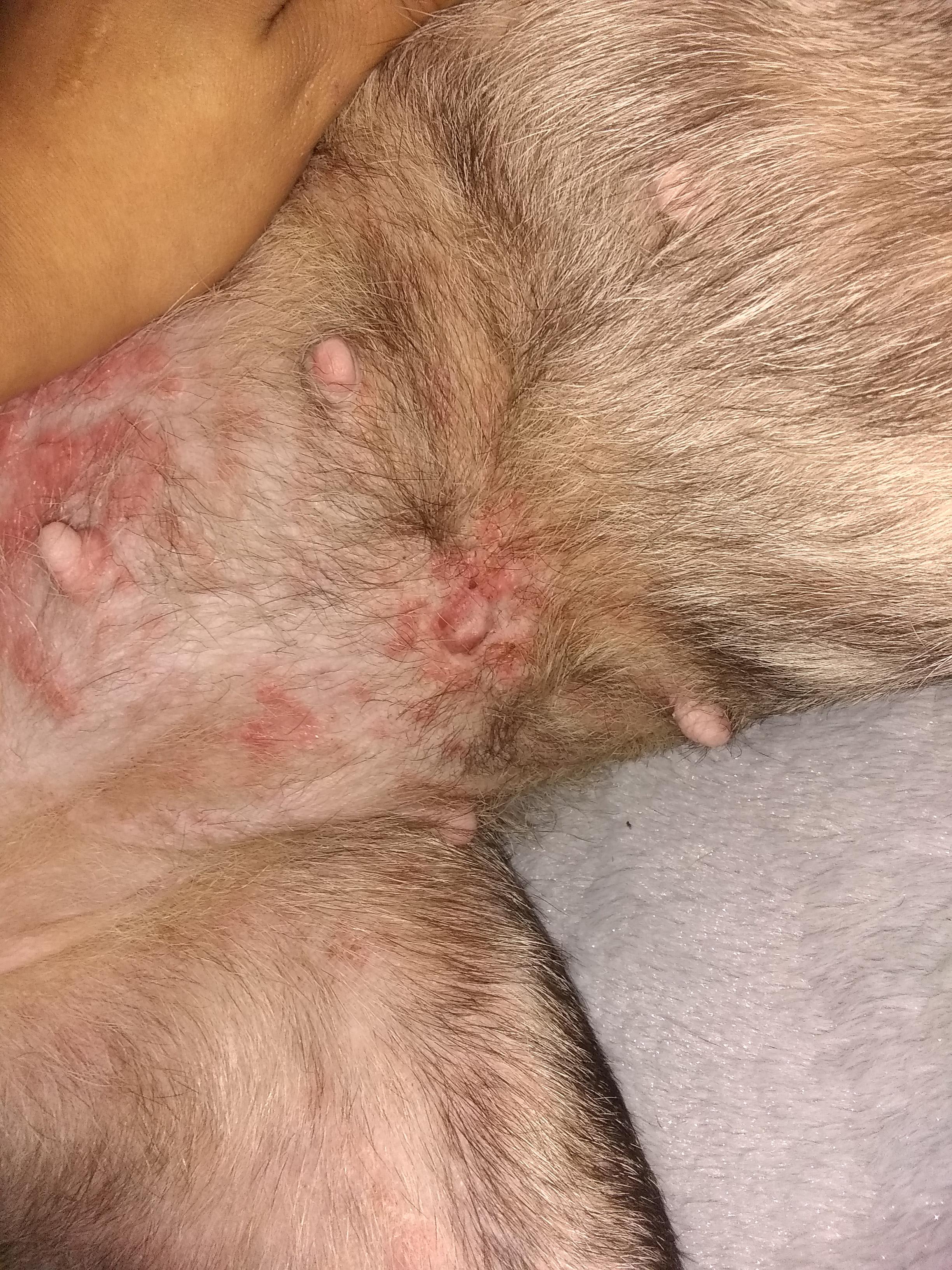 Question details sensitive content