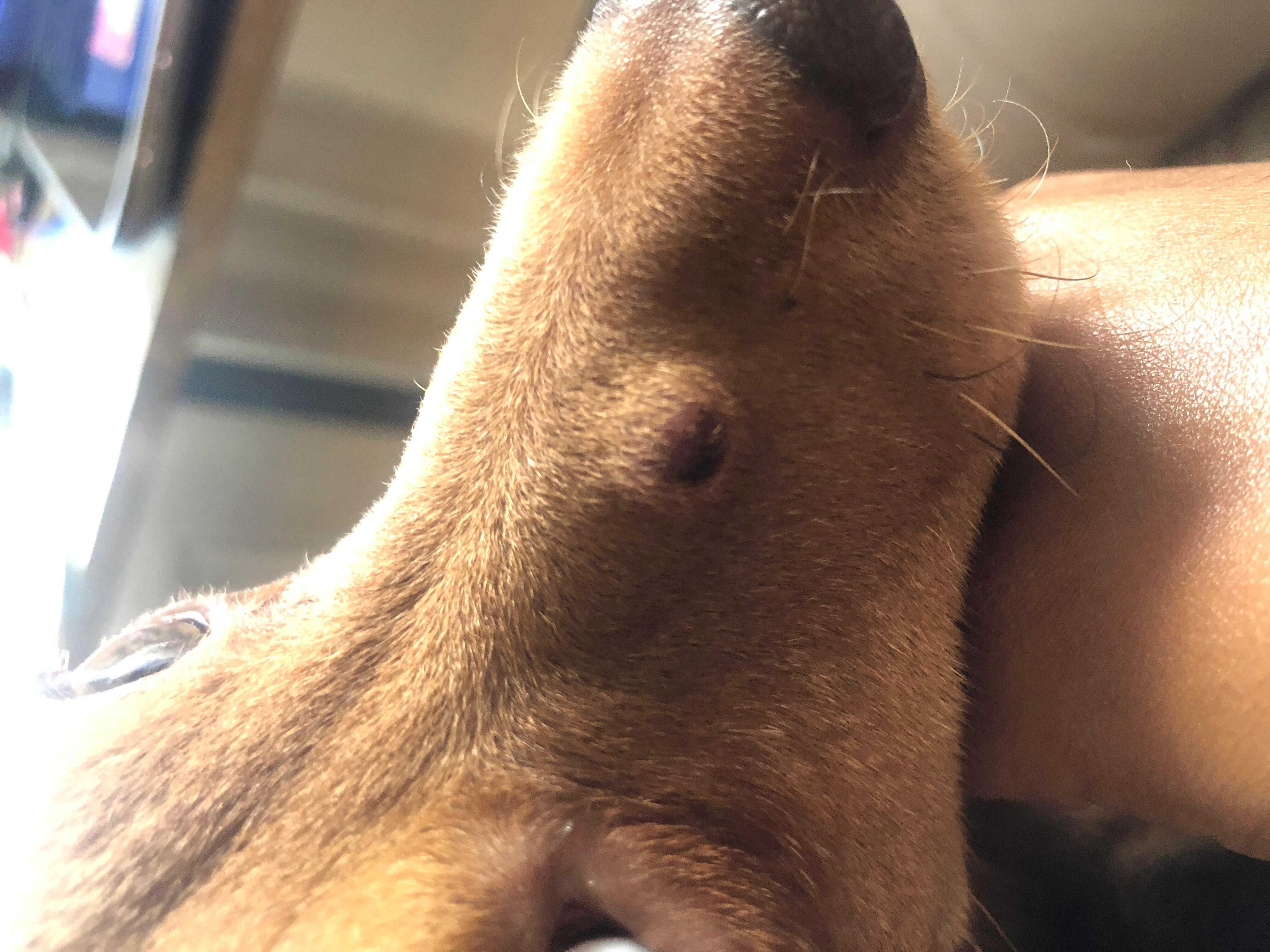 Question details sensitive content