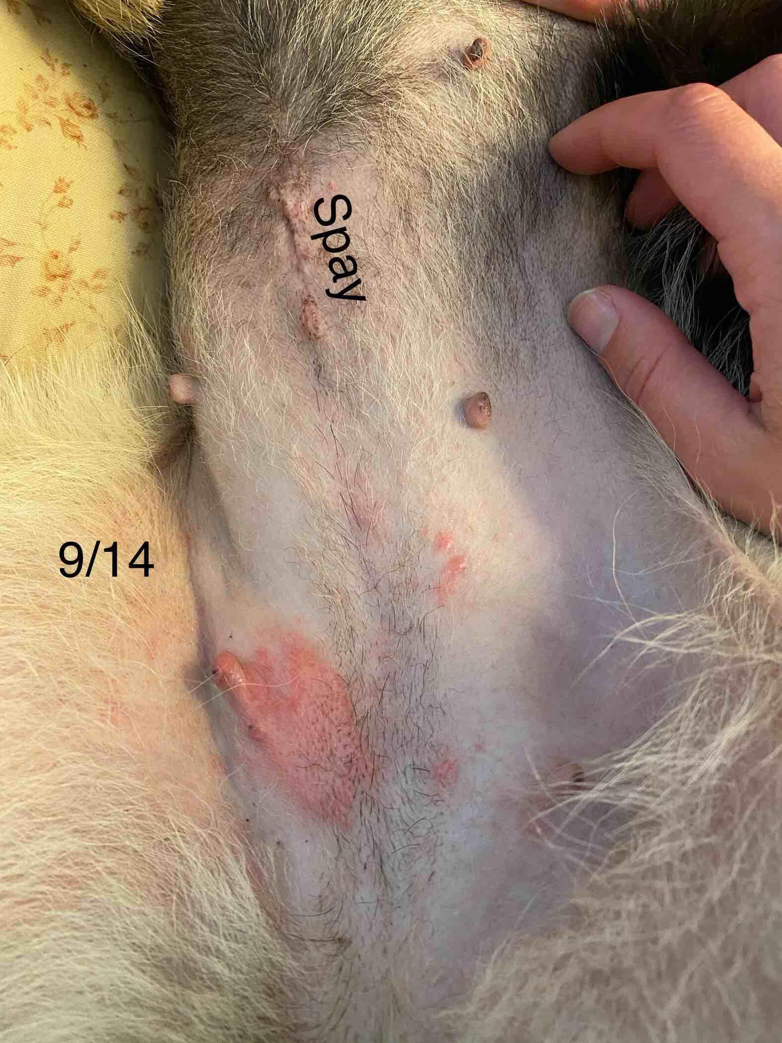 Question details sensitive content