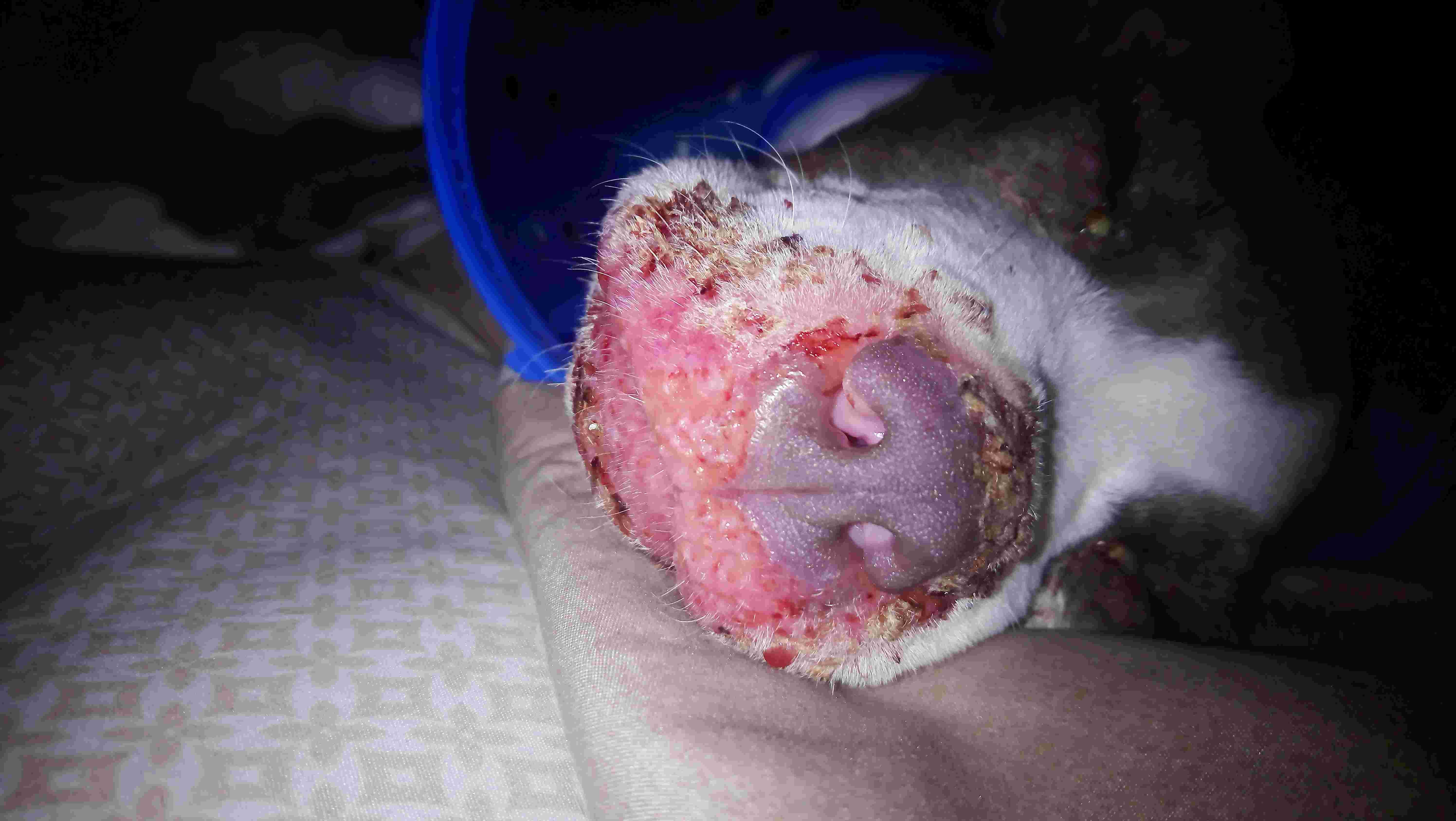 Question details sensitive content