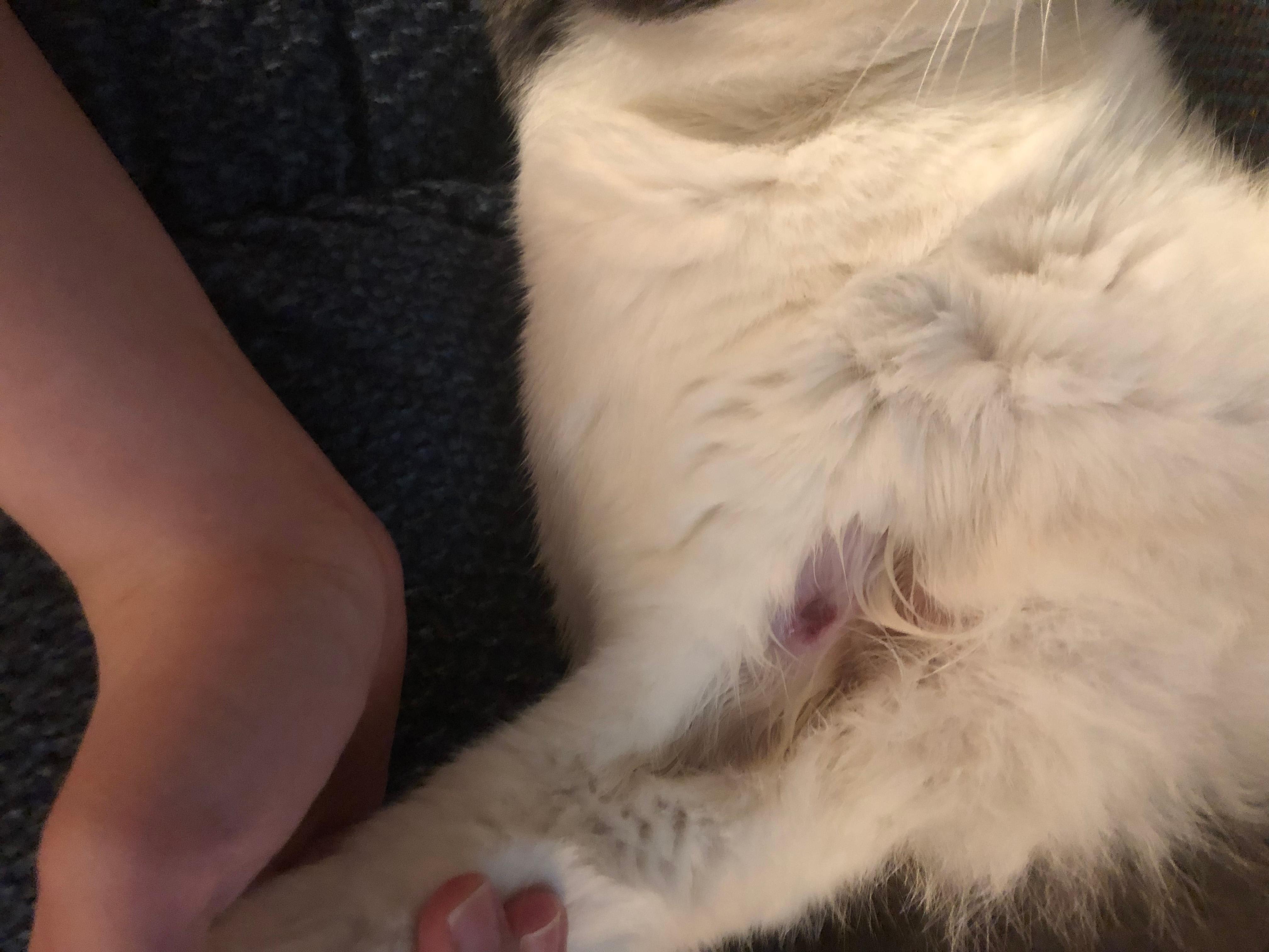 Question details sensitive content