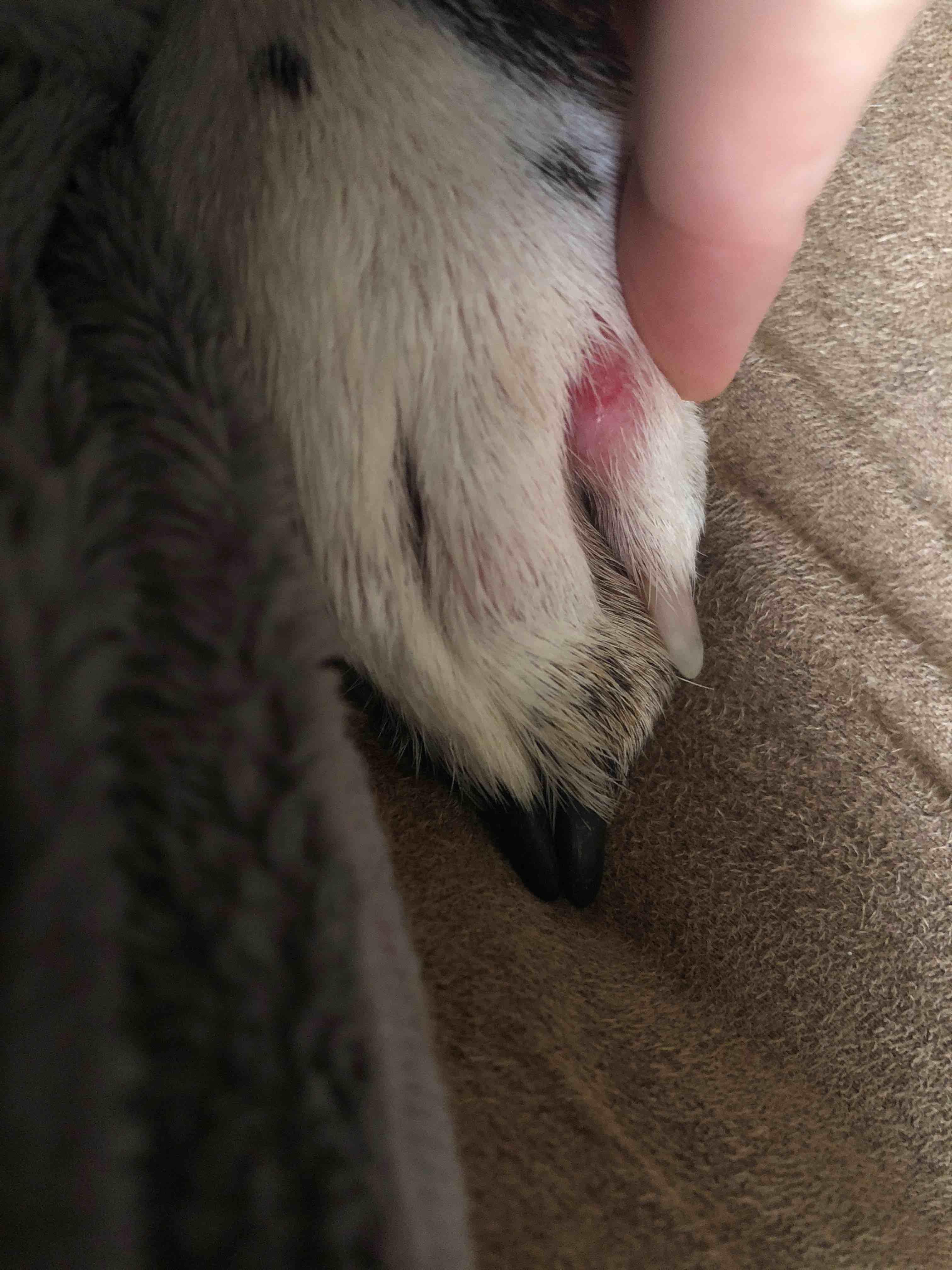 Question details sensitive content