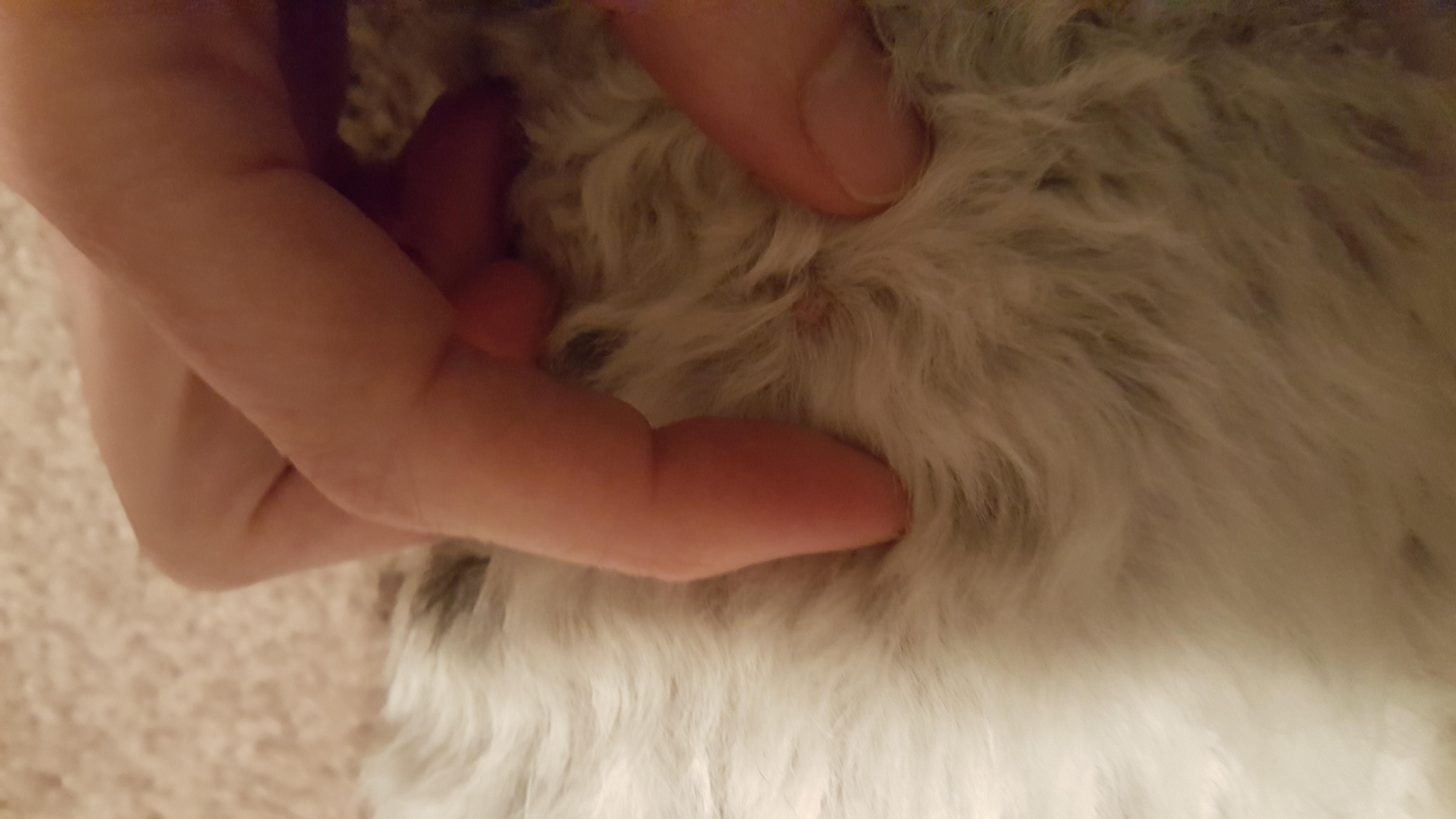 Question details sensitive content