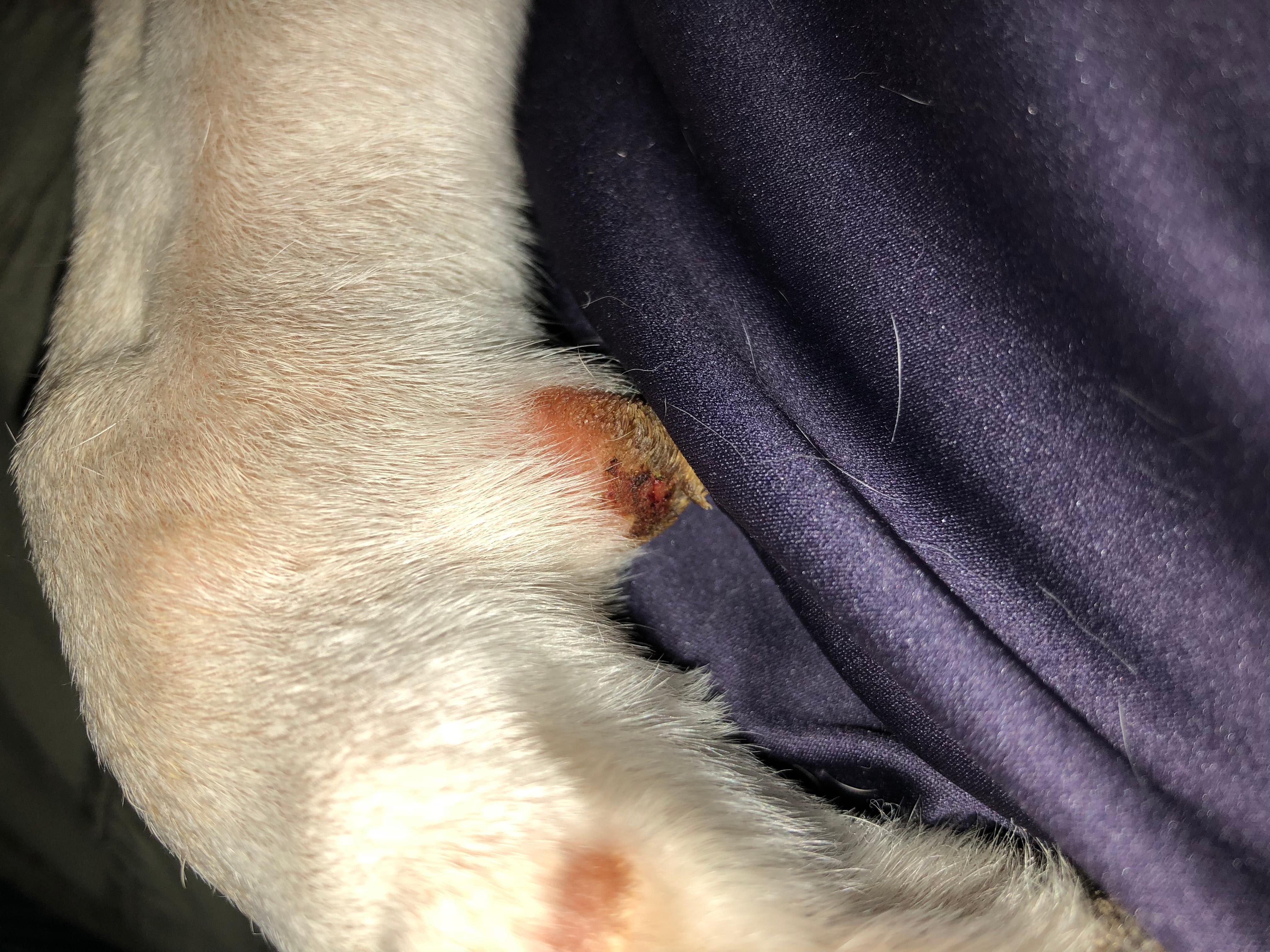 Question details sensitive content