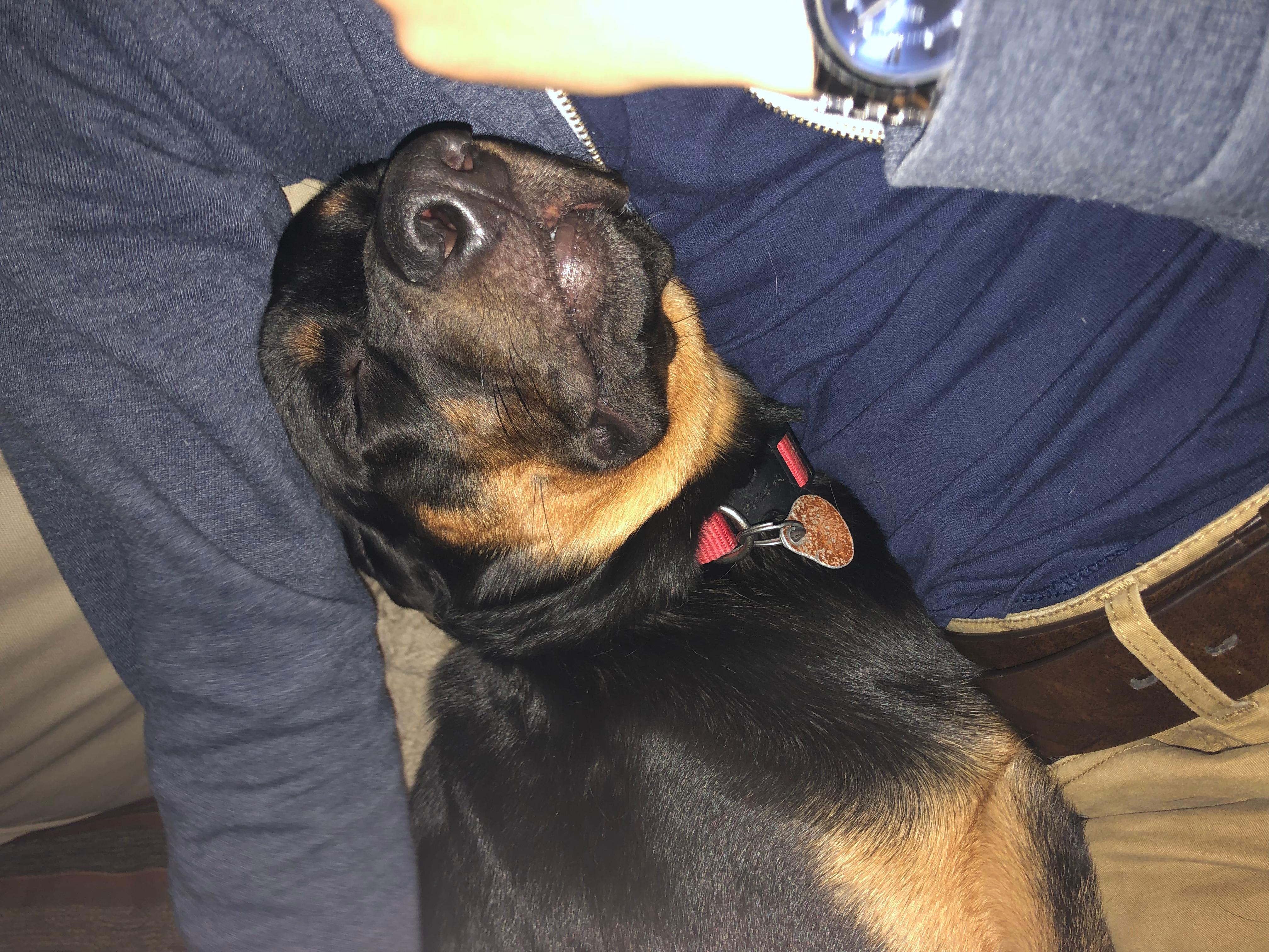 Question details sensitive content