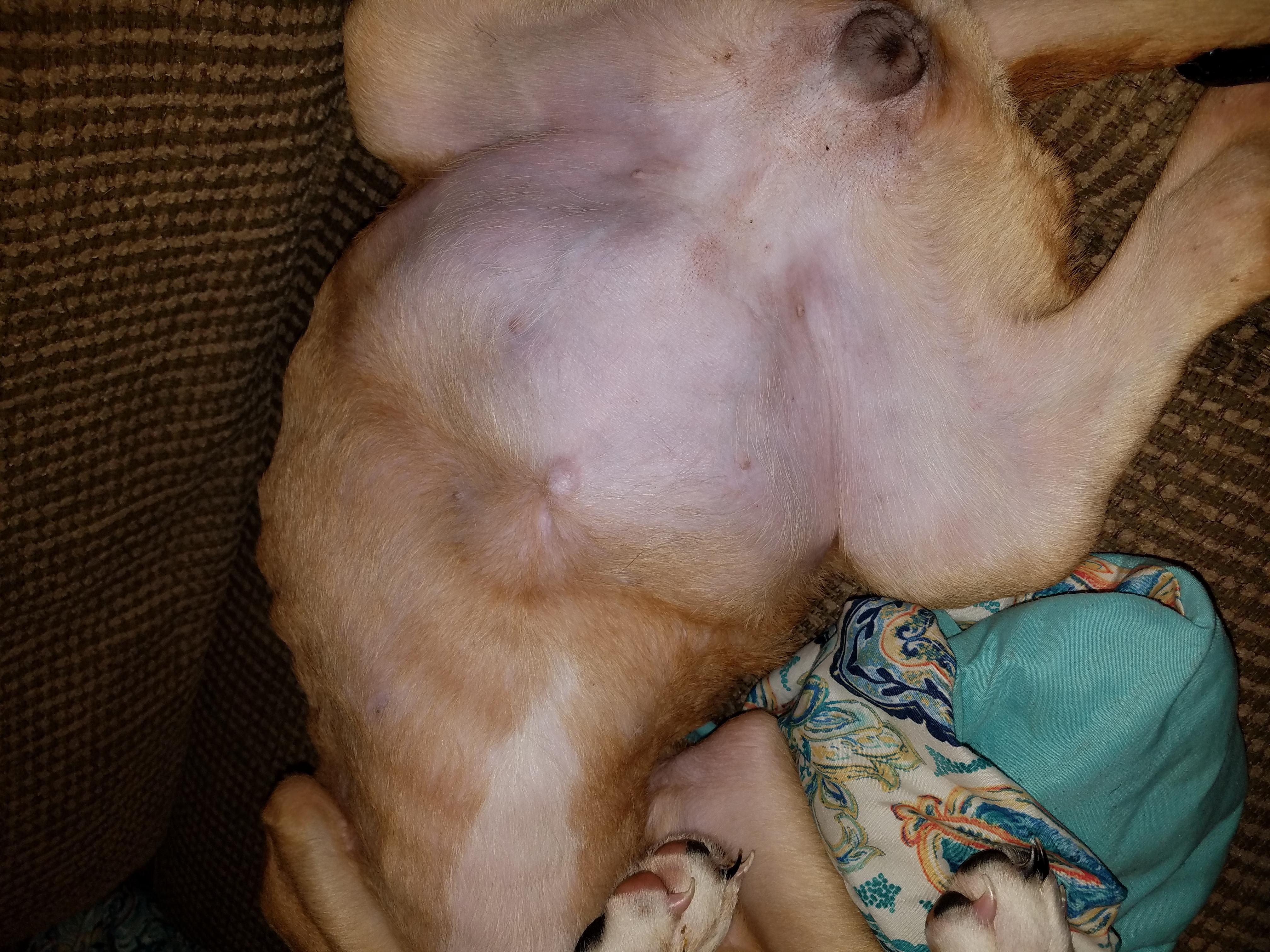 Question details sensitive content