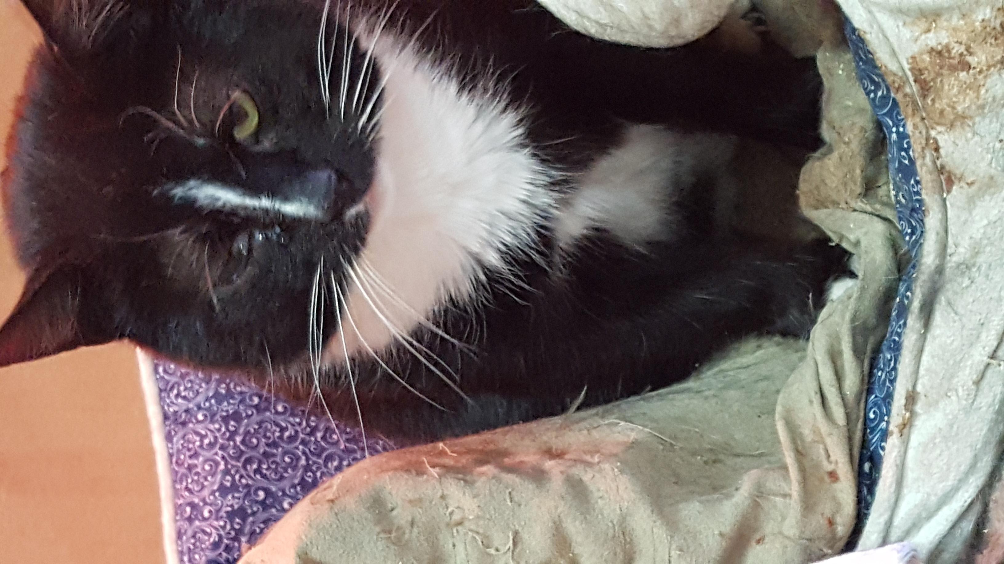 Question details sensitive content