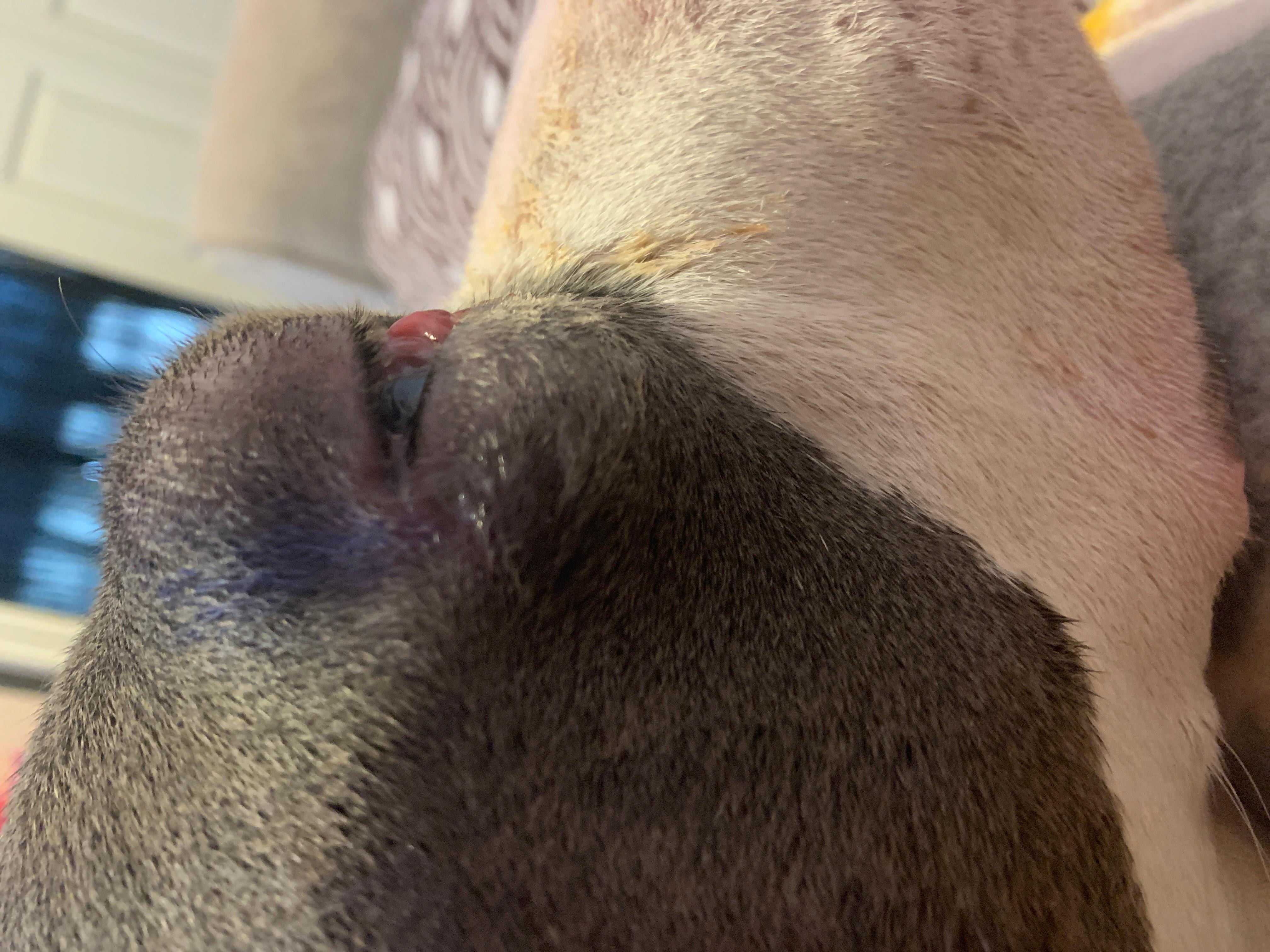 Question details sensitive content