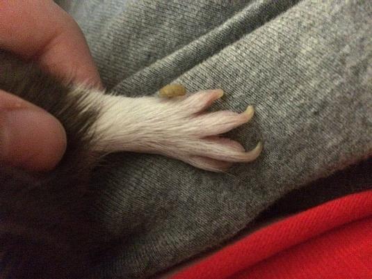 Question details sensitive content