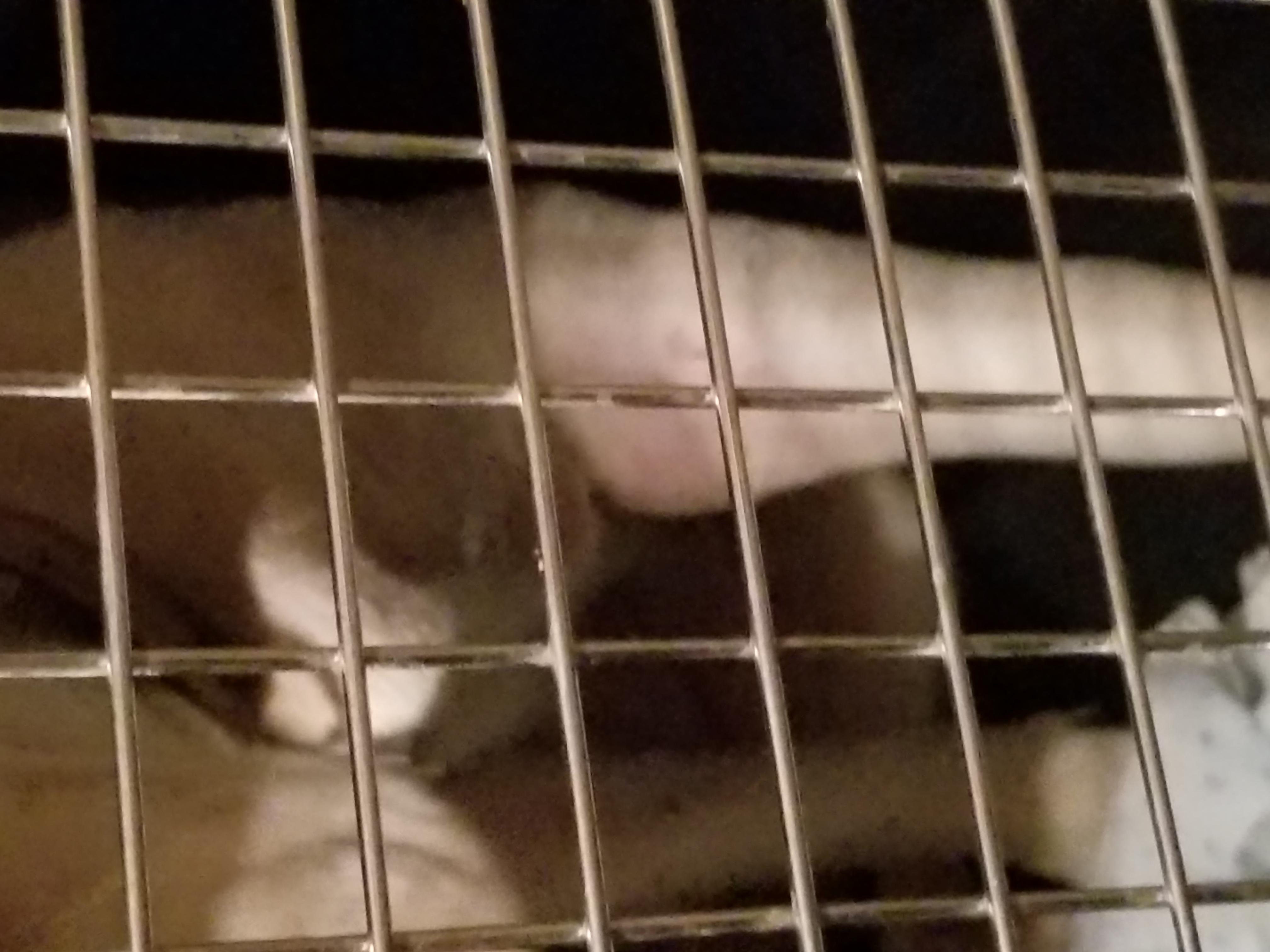 Question details sensitive content