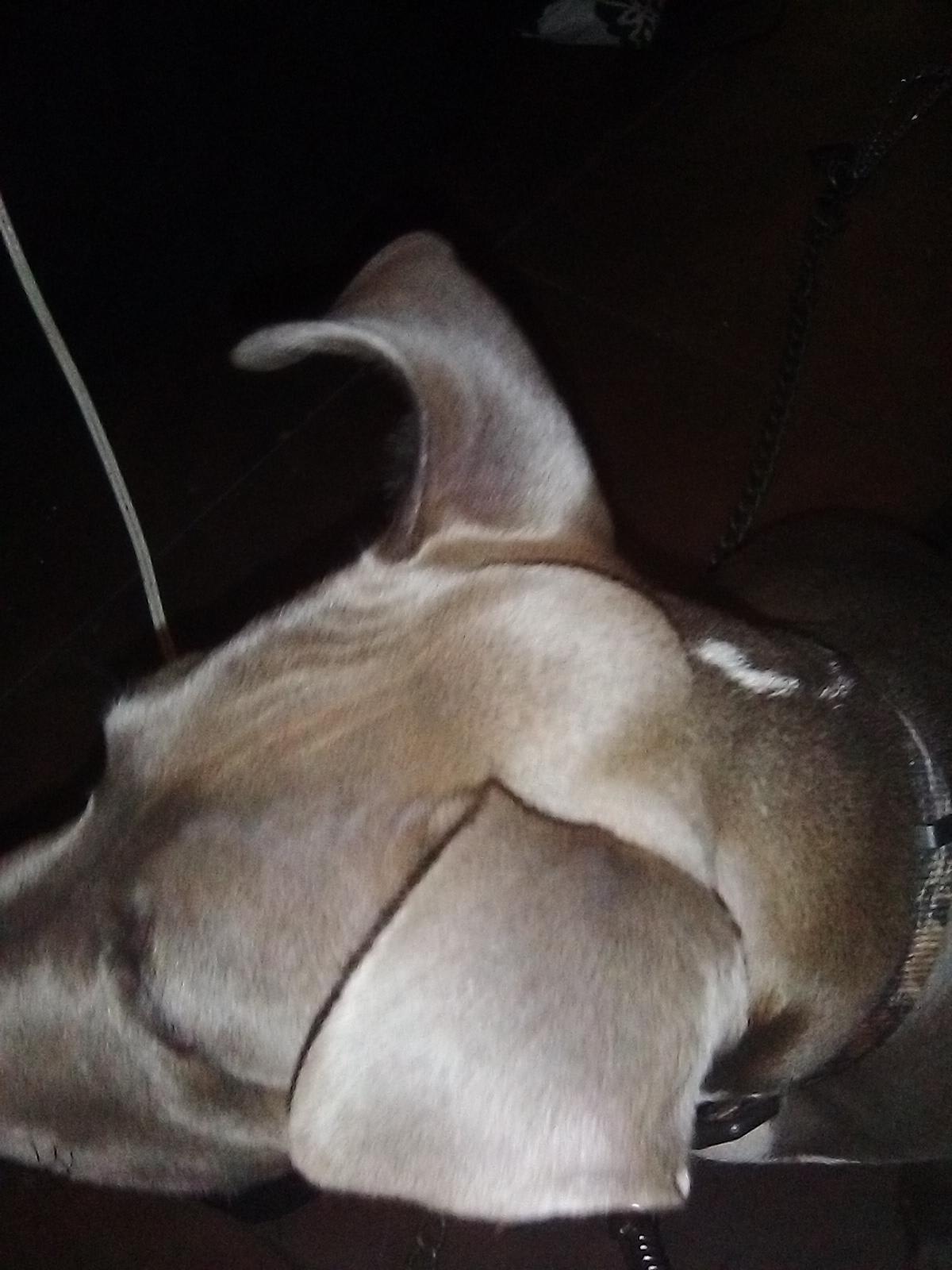 Question details sensitive content