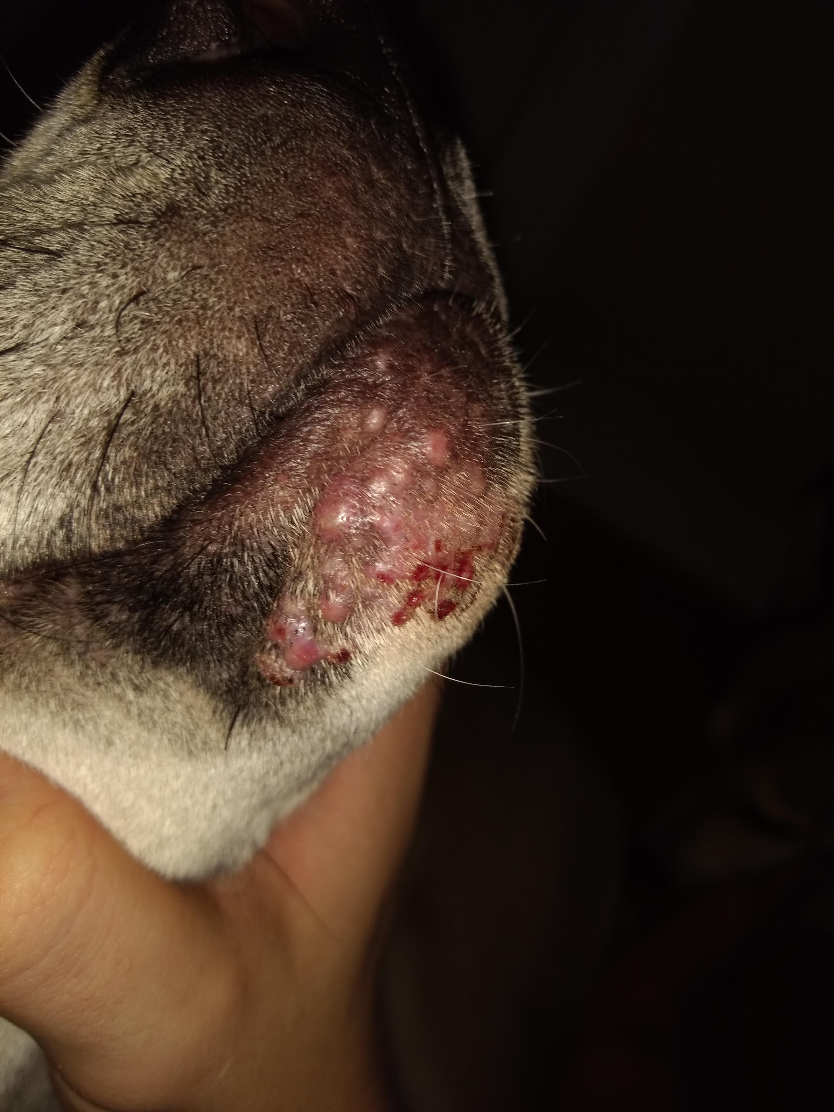 Question details sensitive content