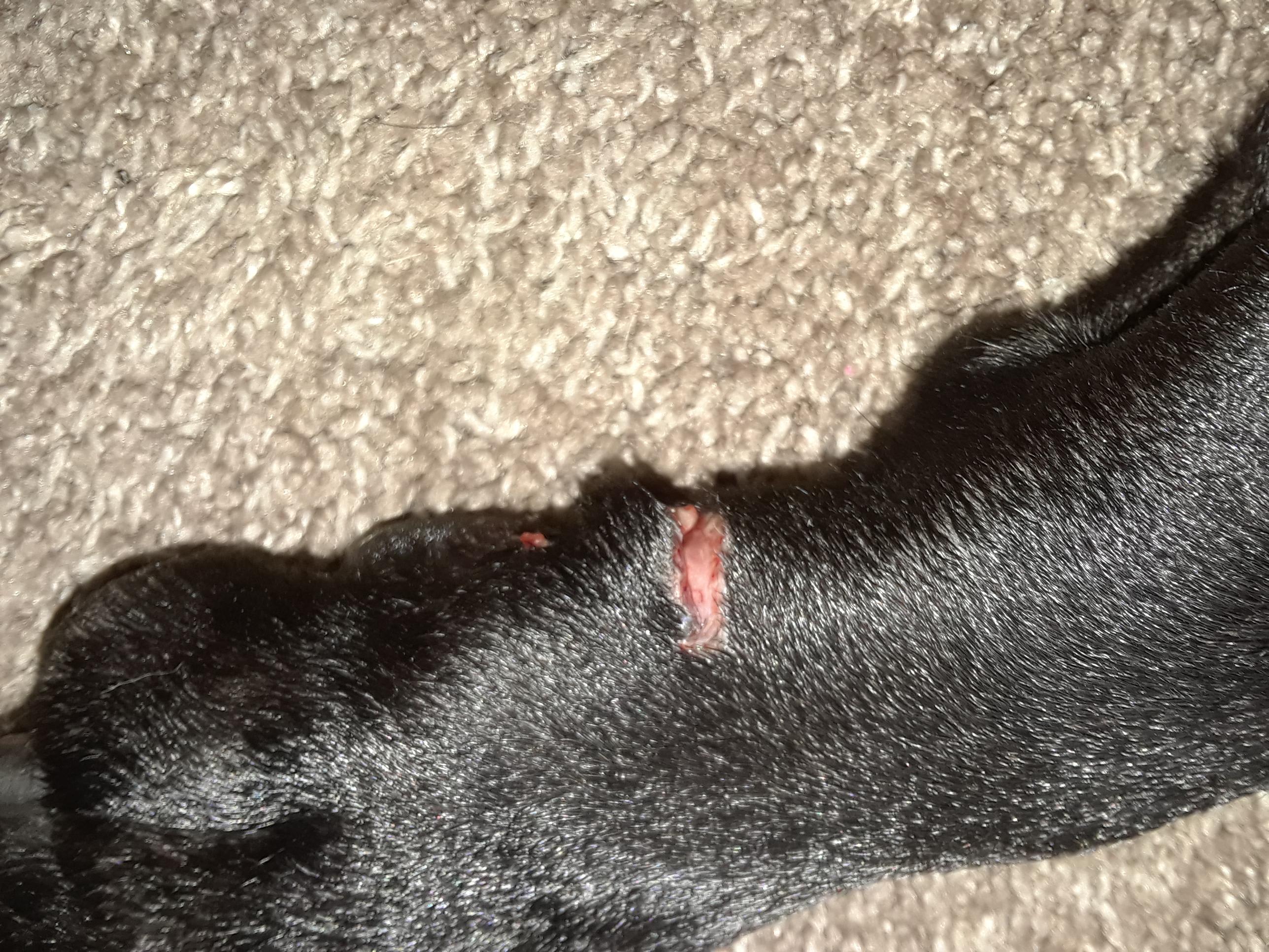 Question details sensitive content