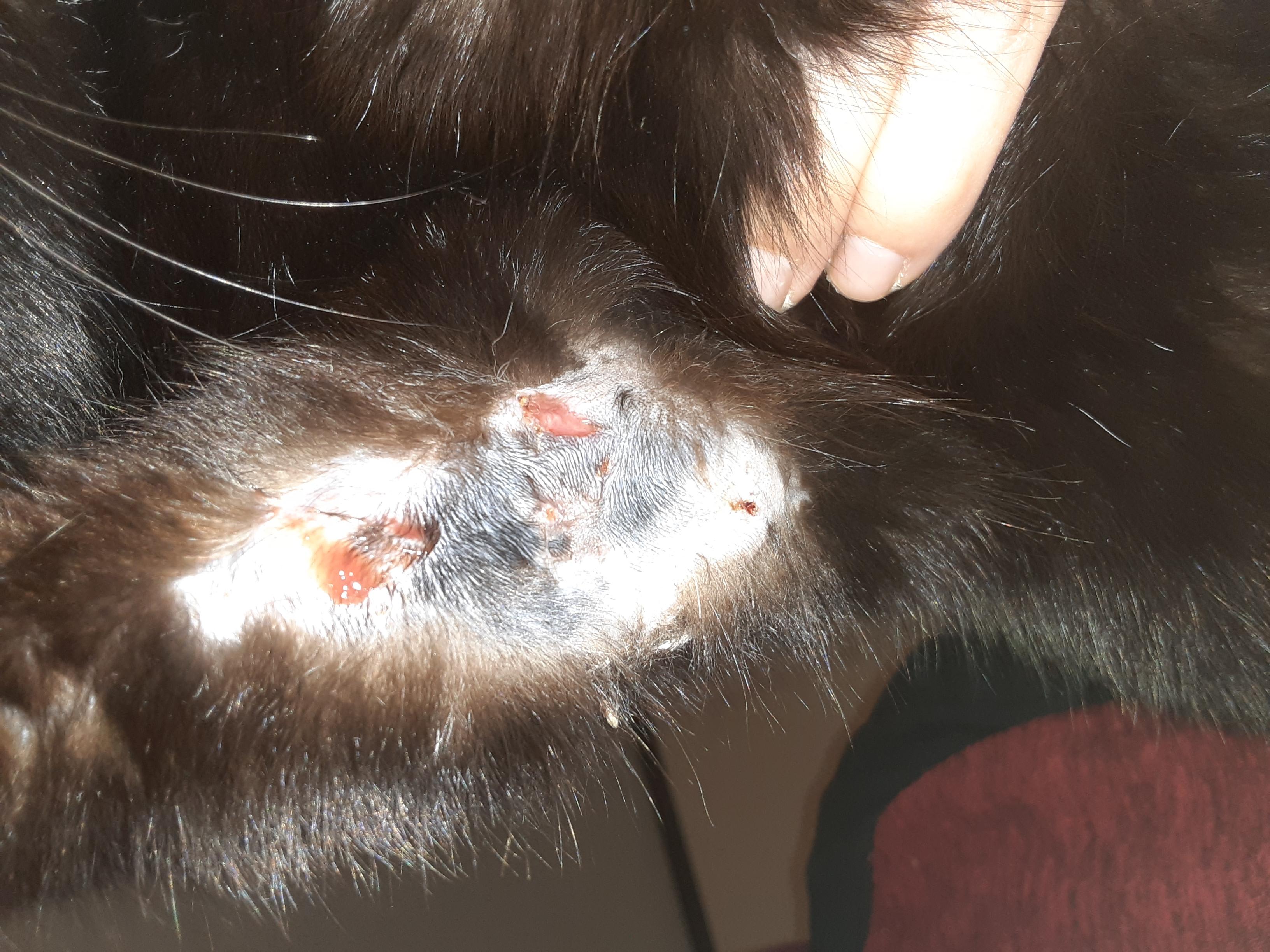 Question details sensitive content